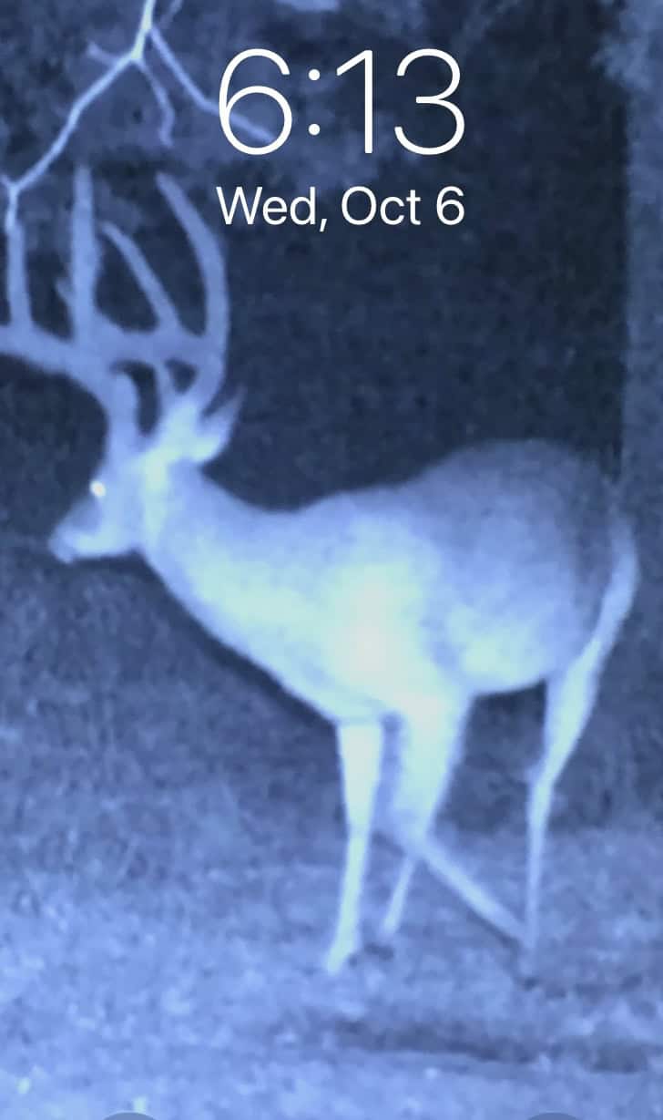 McCurtain County Oklahoma Hunting Property