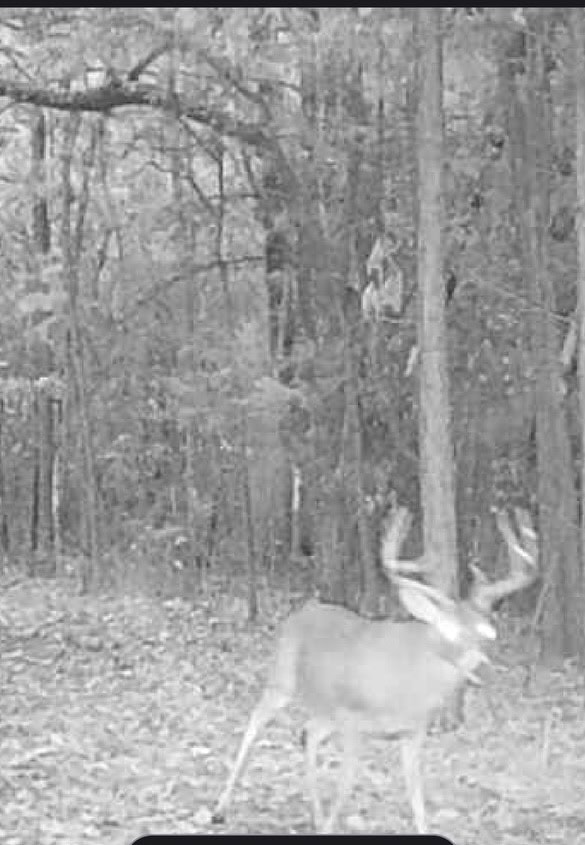 McCurtain County Oklahoma Hunting Property