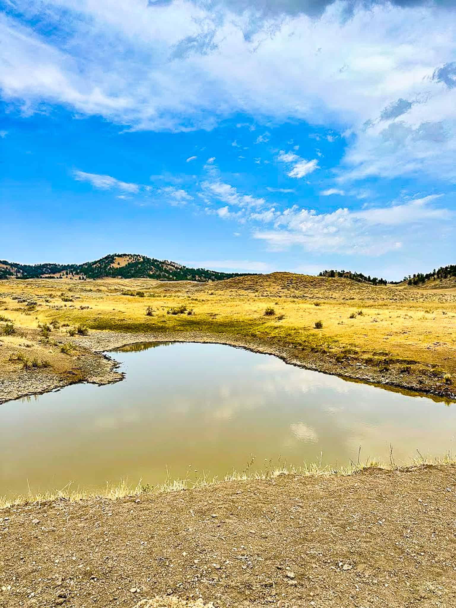 COW ISLAND TRAIL RANCH: A RARE OPPORTUNITY IN THE BEAR PAWS