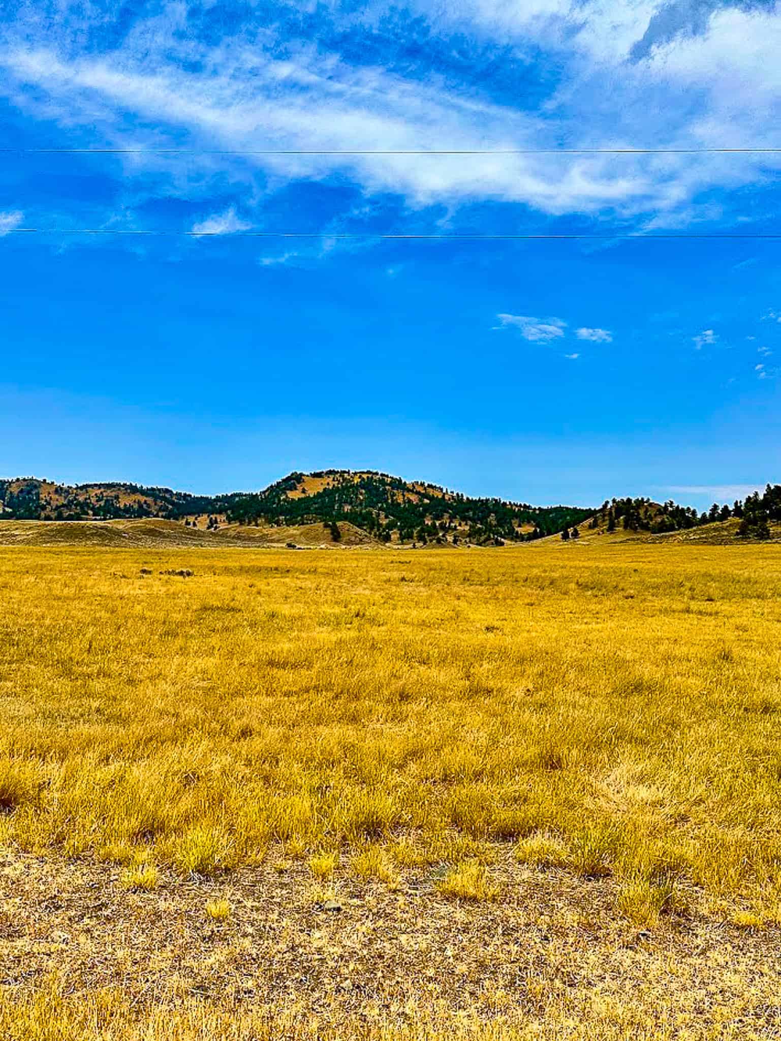 COW ISLAND TRAIL RANCH: A RARE OPPORTUNITY IN THE BEAR PAWS