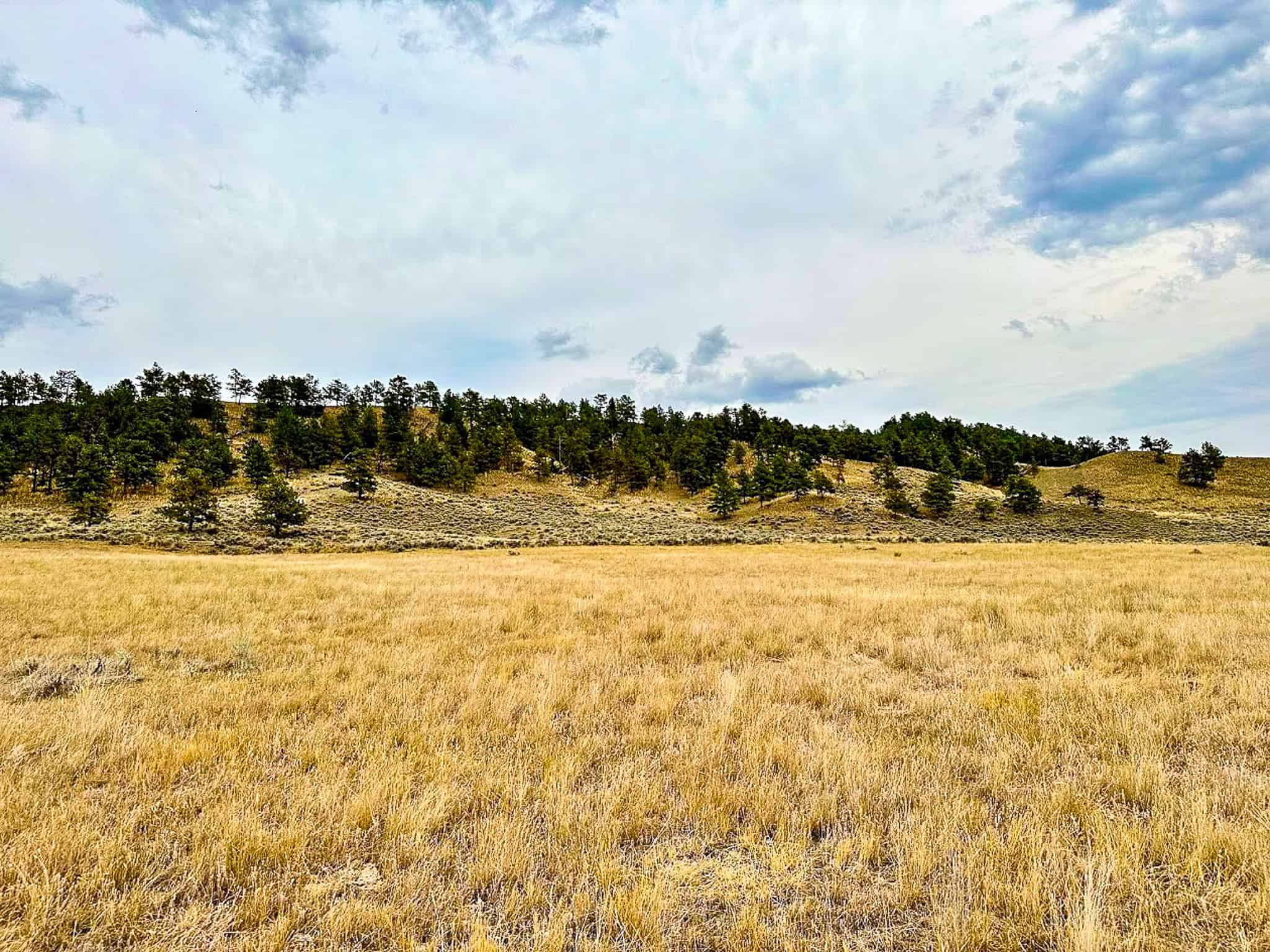 COW ISLAND TRAIL RANCH: A RARE OPPORTUNITY IN THE BEAR PAWS
