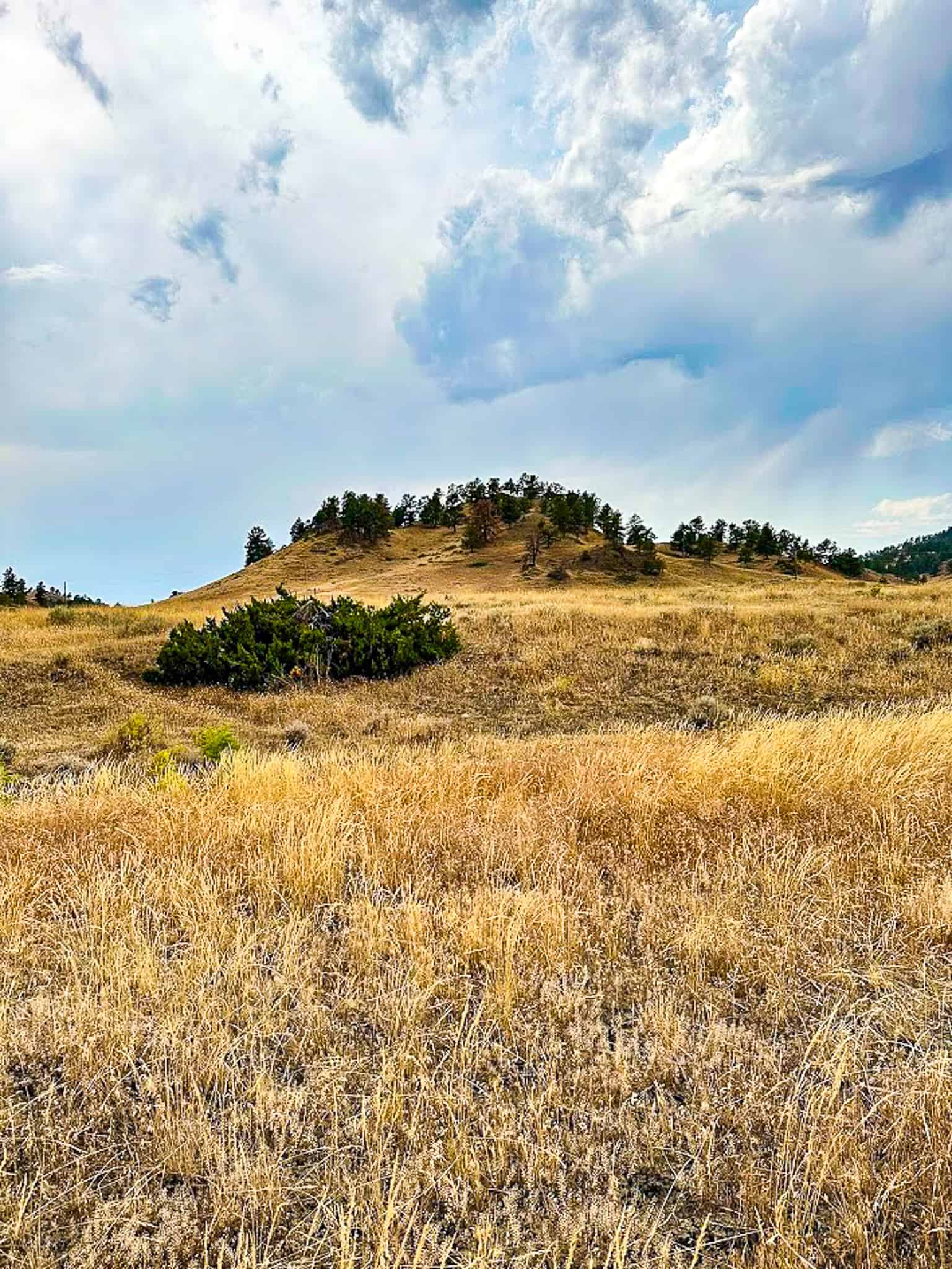 COW ISLAND TRAIL RANCH: A RARE OPPORTUNITY IN THE BEAR PAWS