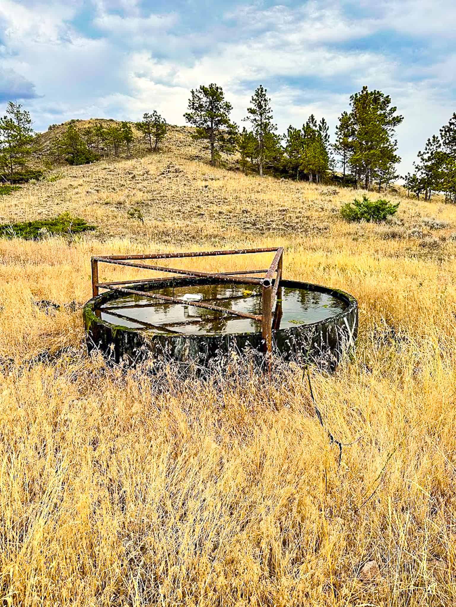 COW ISLAND TRAIL RANCH: A RARE OPPORTUNITY IN THE BEAR PAWS