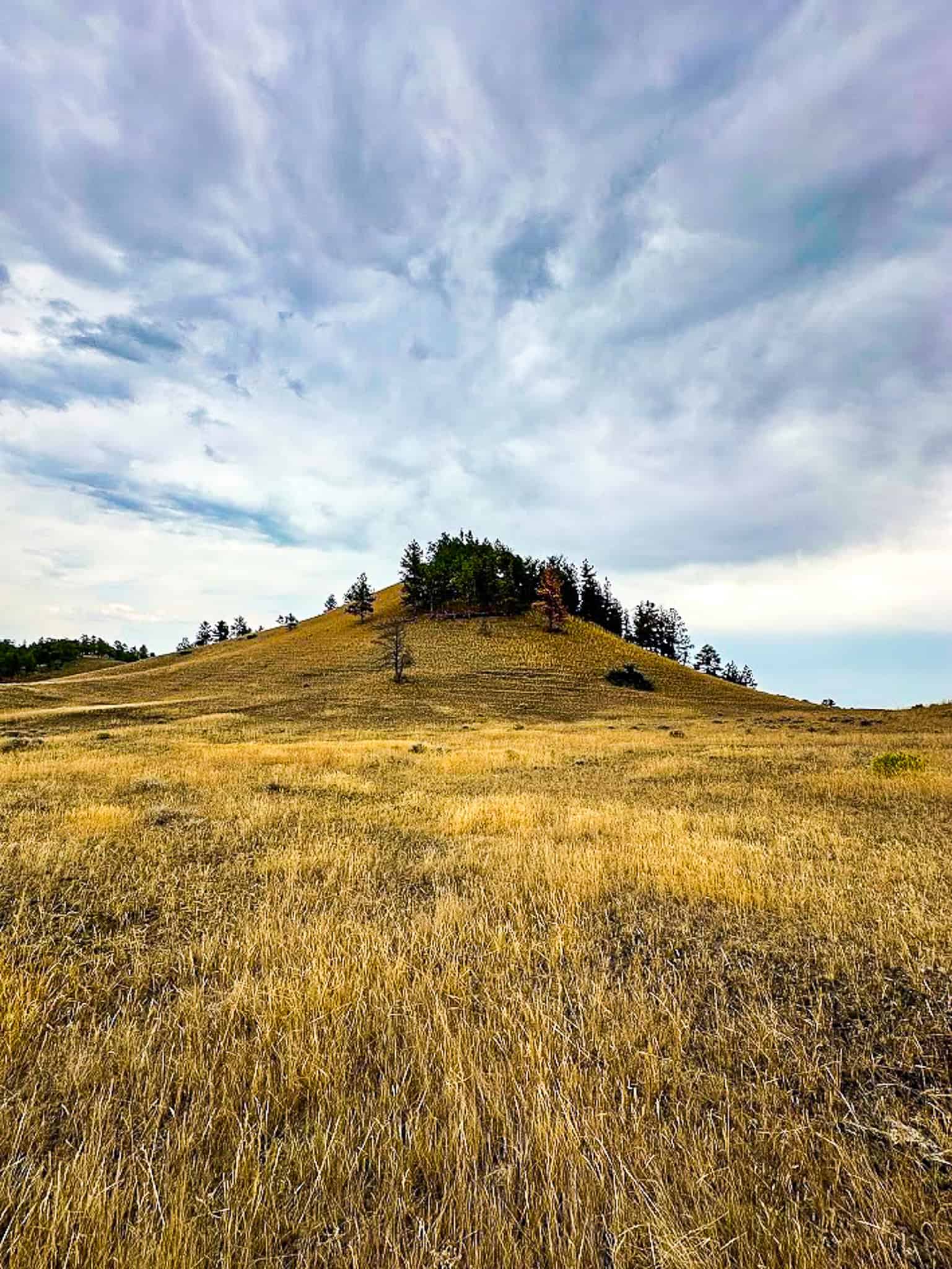 COW ISLAND TRAIL RANCH: A RARE OPPORTUNITY IN THE BEAR PAWS