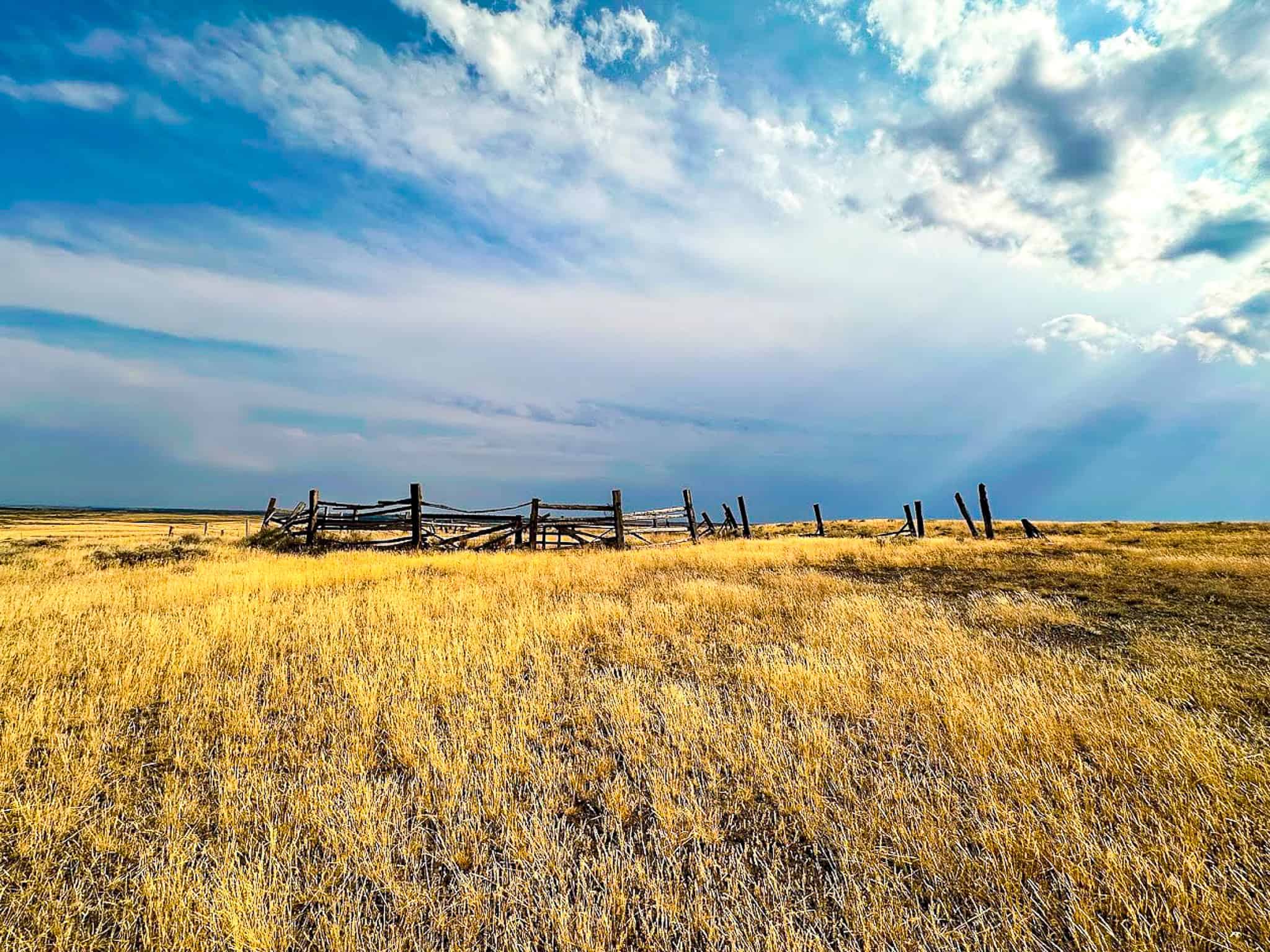 COW ISLAND TRAIL RANCH: A RARE OPPORTUNITY IN THE BEAR PAWS