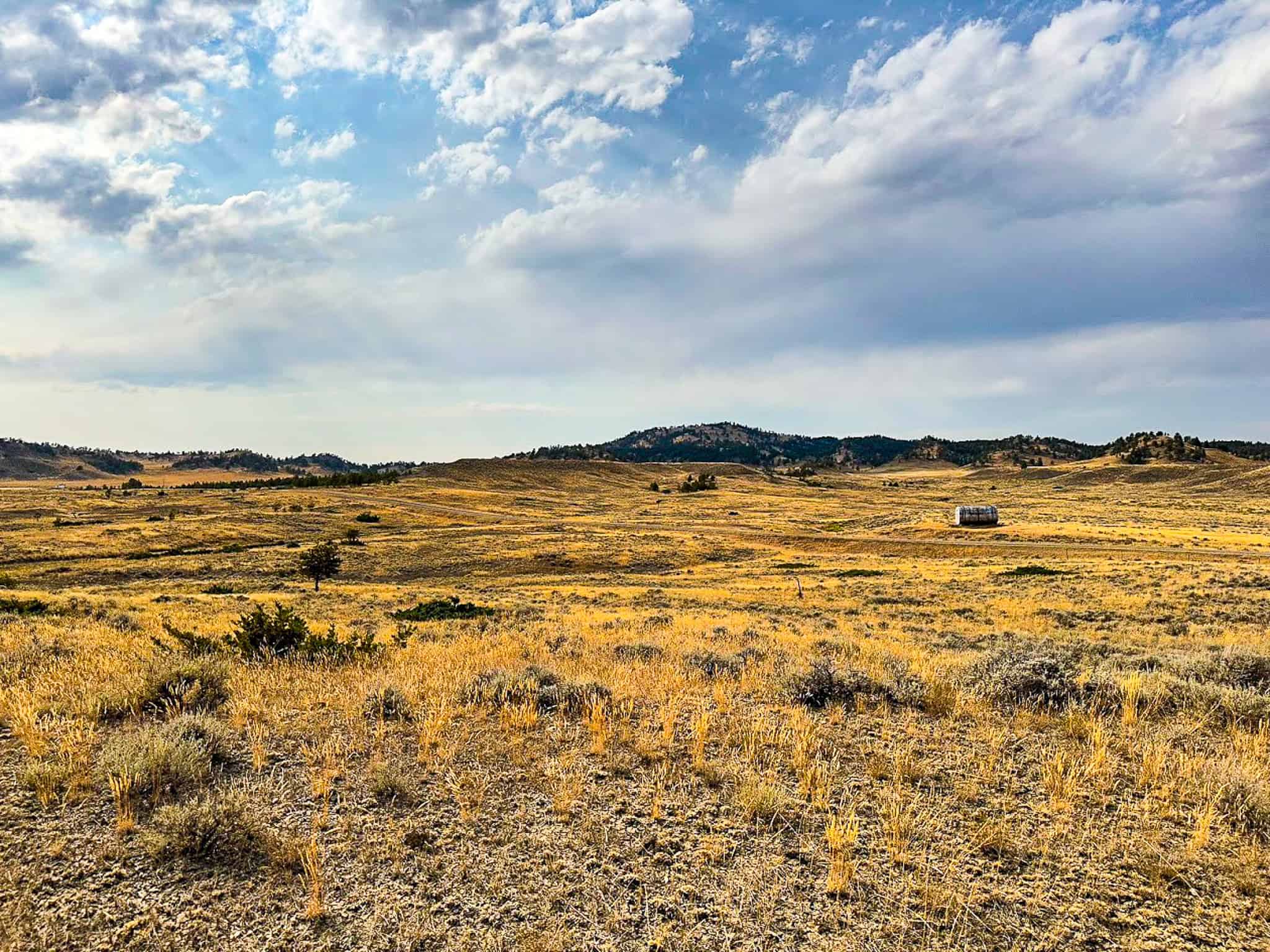COW ISLAND TRAIL RANCH: A RARE OPPORTUNITY IN THE BEAR PAWS