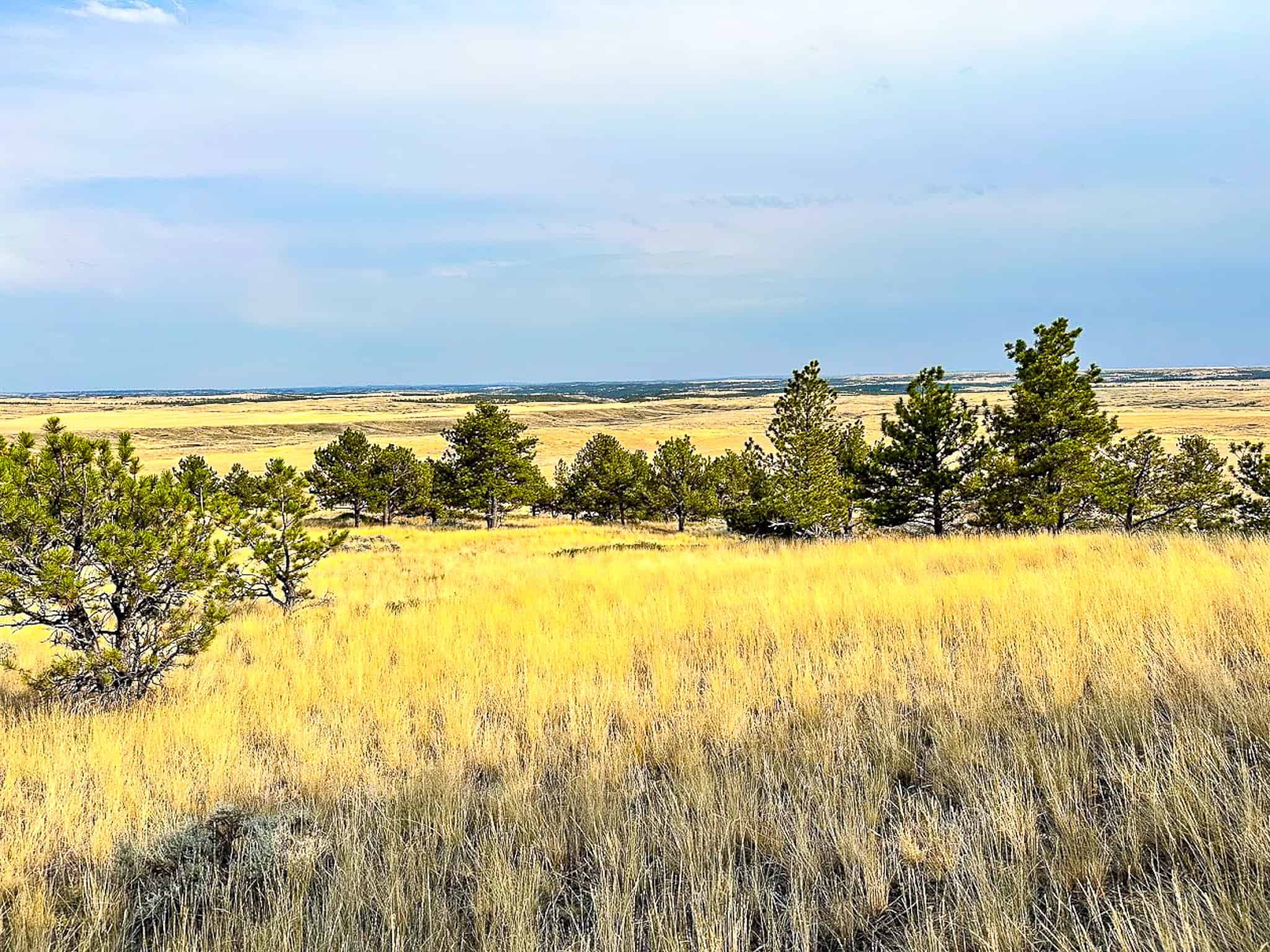 COW ISLAND TRAIL RANCH: A RARE OPPORTUNITY IN THE BEAR PAWS