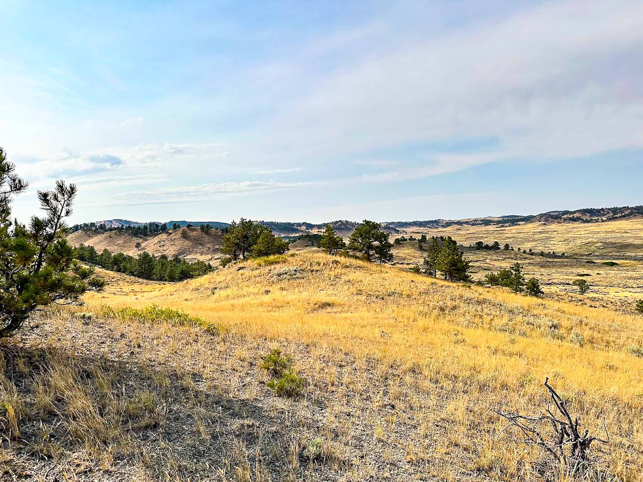 COW ISLAND TRAIL RANCH: A RARE OPPORTUNITY IN THE BEAR PAWS