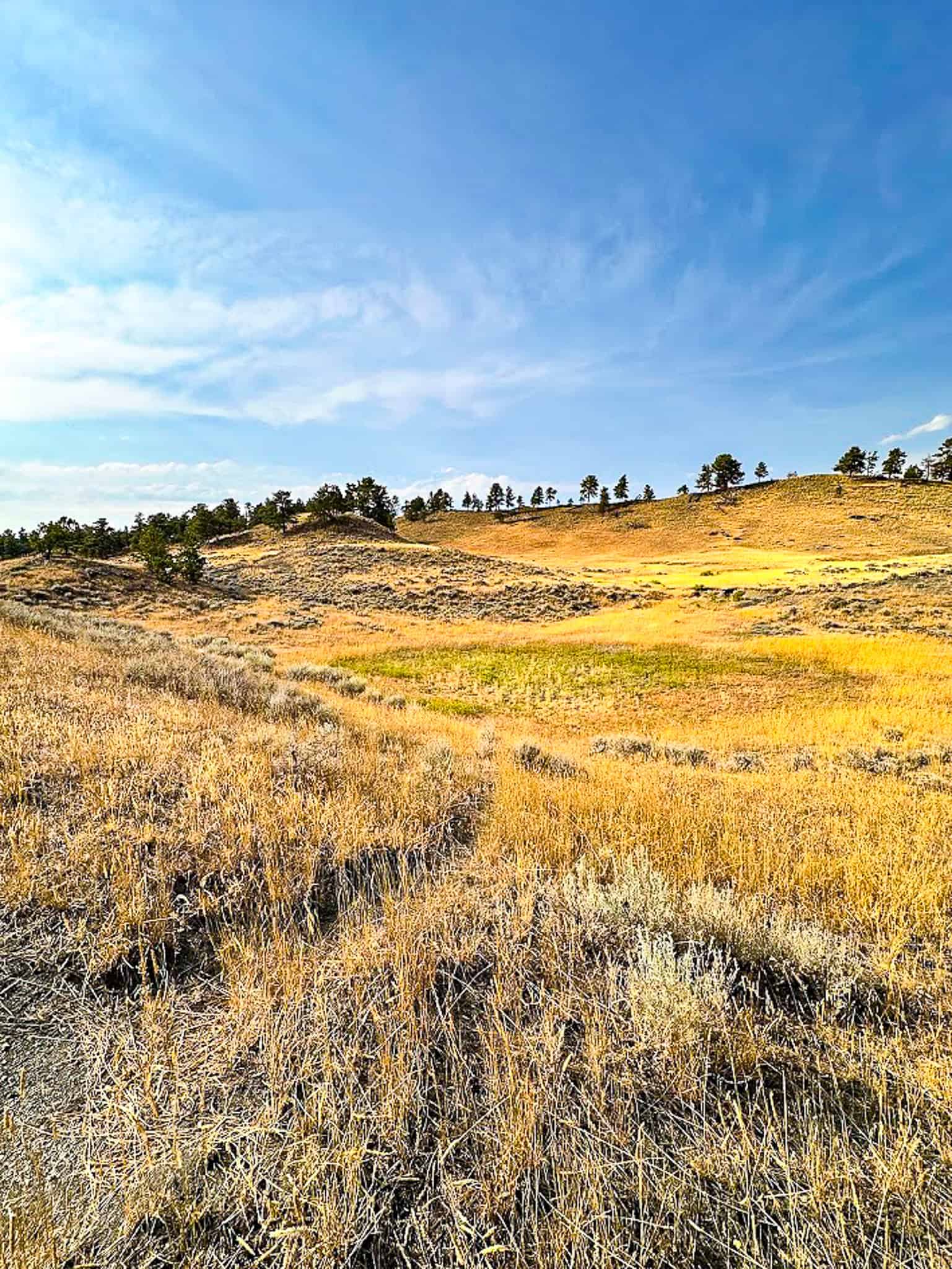 COW ISLAND TRAIL RANCH: A RARE OPPORTUNITY IN THE BEAR PAWS