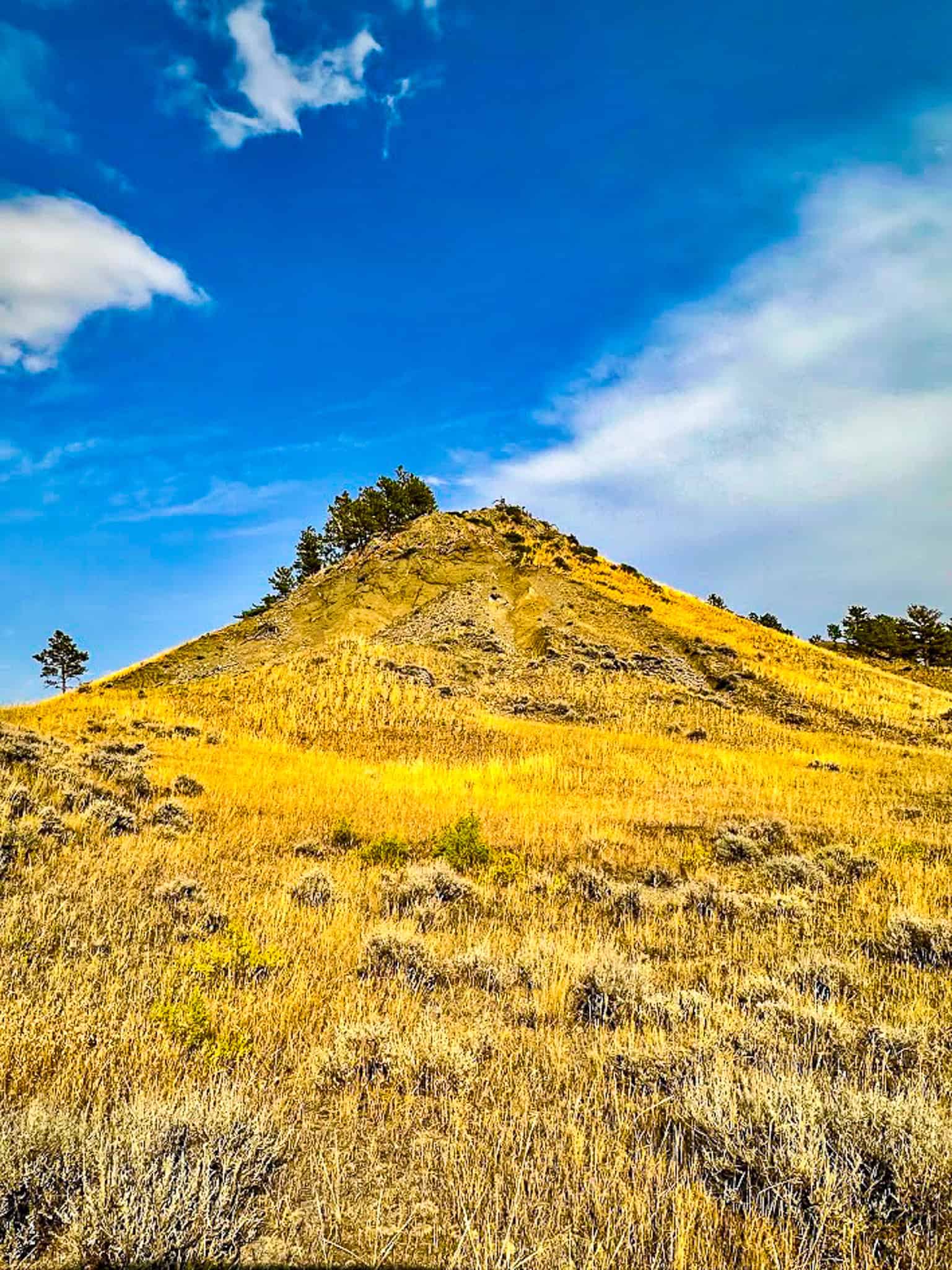 COW ISLAND TRAIL RANCH: A RARE OPPORTUNITY IN THE BEAR PAWS