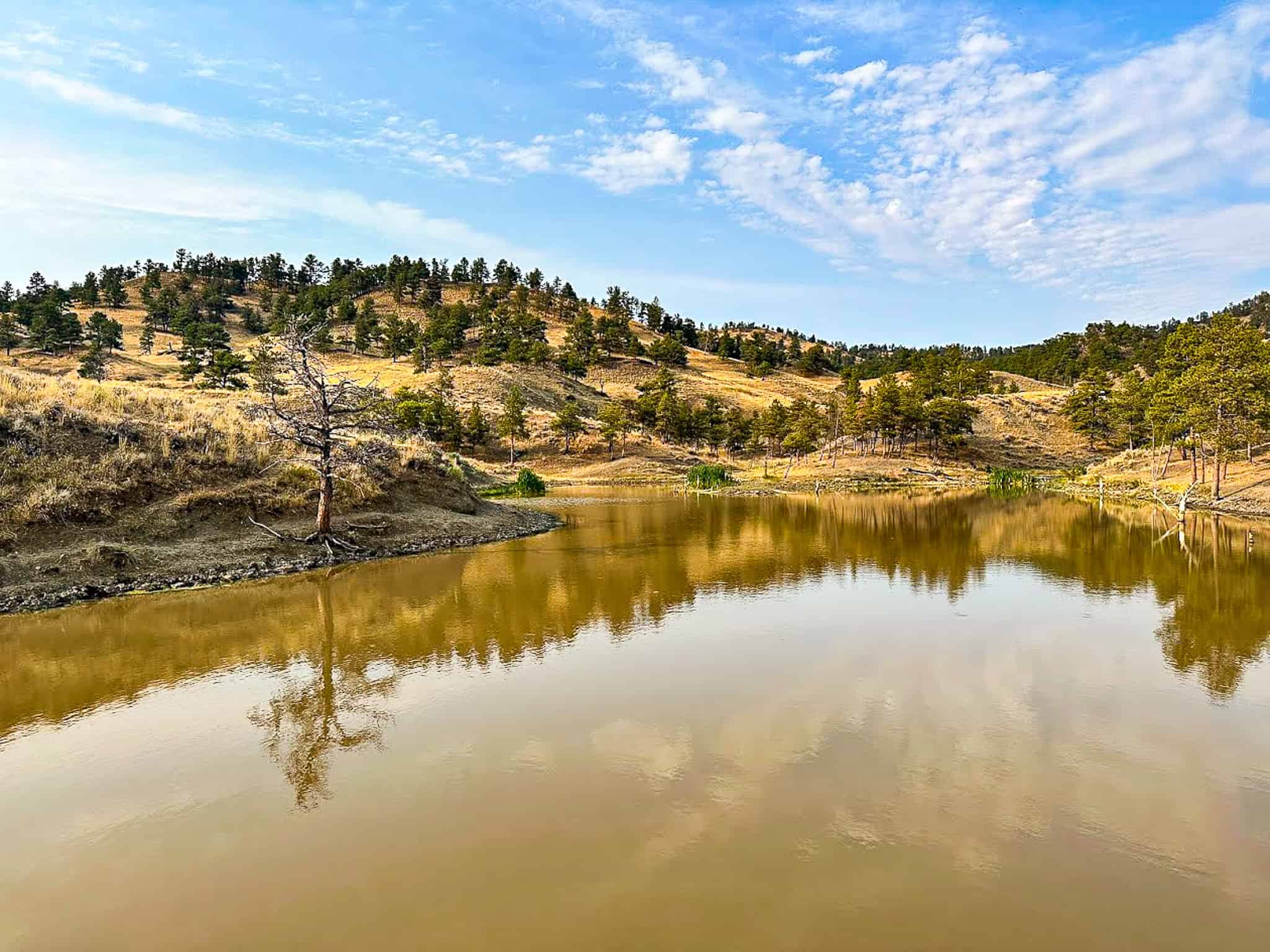 COW ISLAND TRAIL RANCH: A RARE OPPORTUNITY IN THE BEAR PAWS