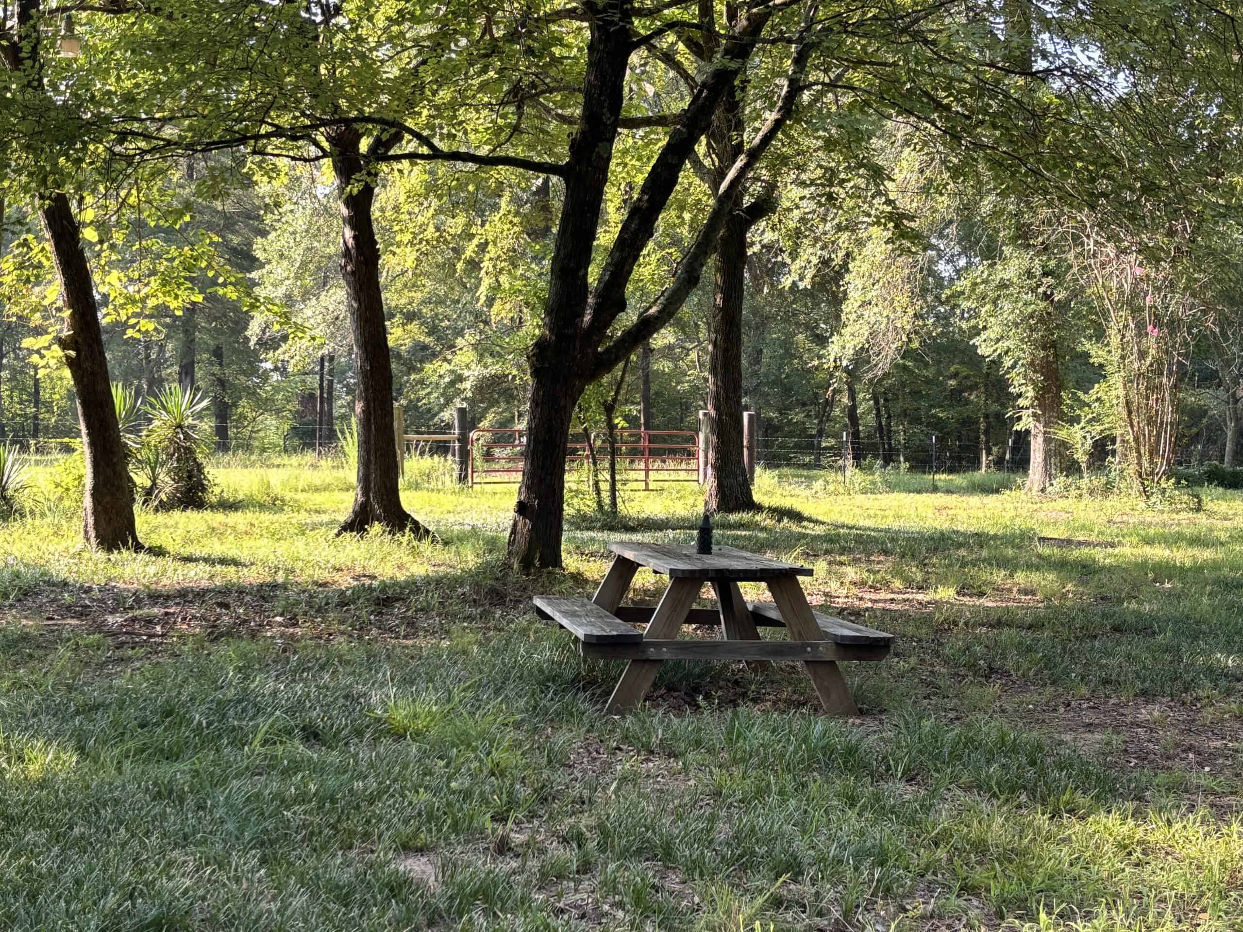 EAST TEXAS TIMBER/HUNTING/RECREATIONAL LAND FOR SALE