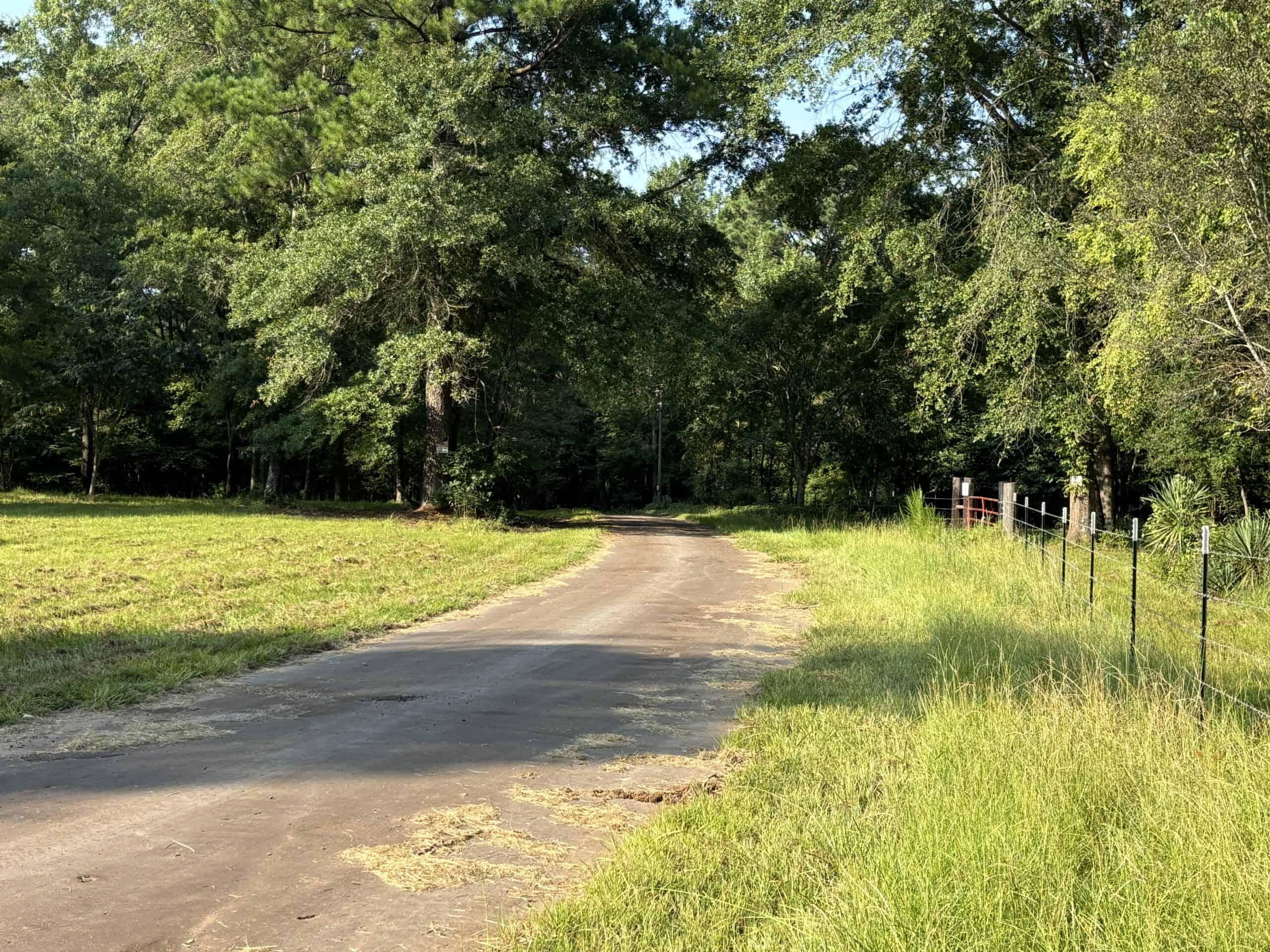 EAST TEXAS TIMBER/HUNTING/RECREATIONAL LAND FOR SALE
