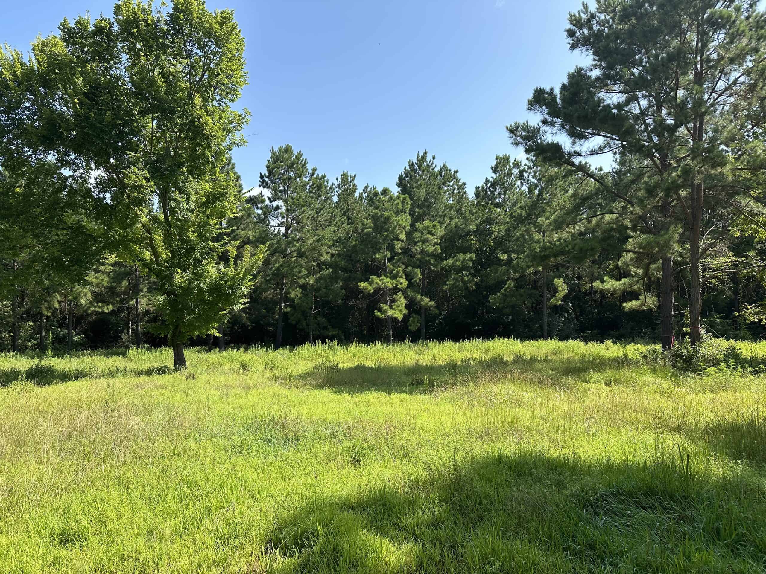 East Texas Hunting/Recreational Land For Sale