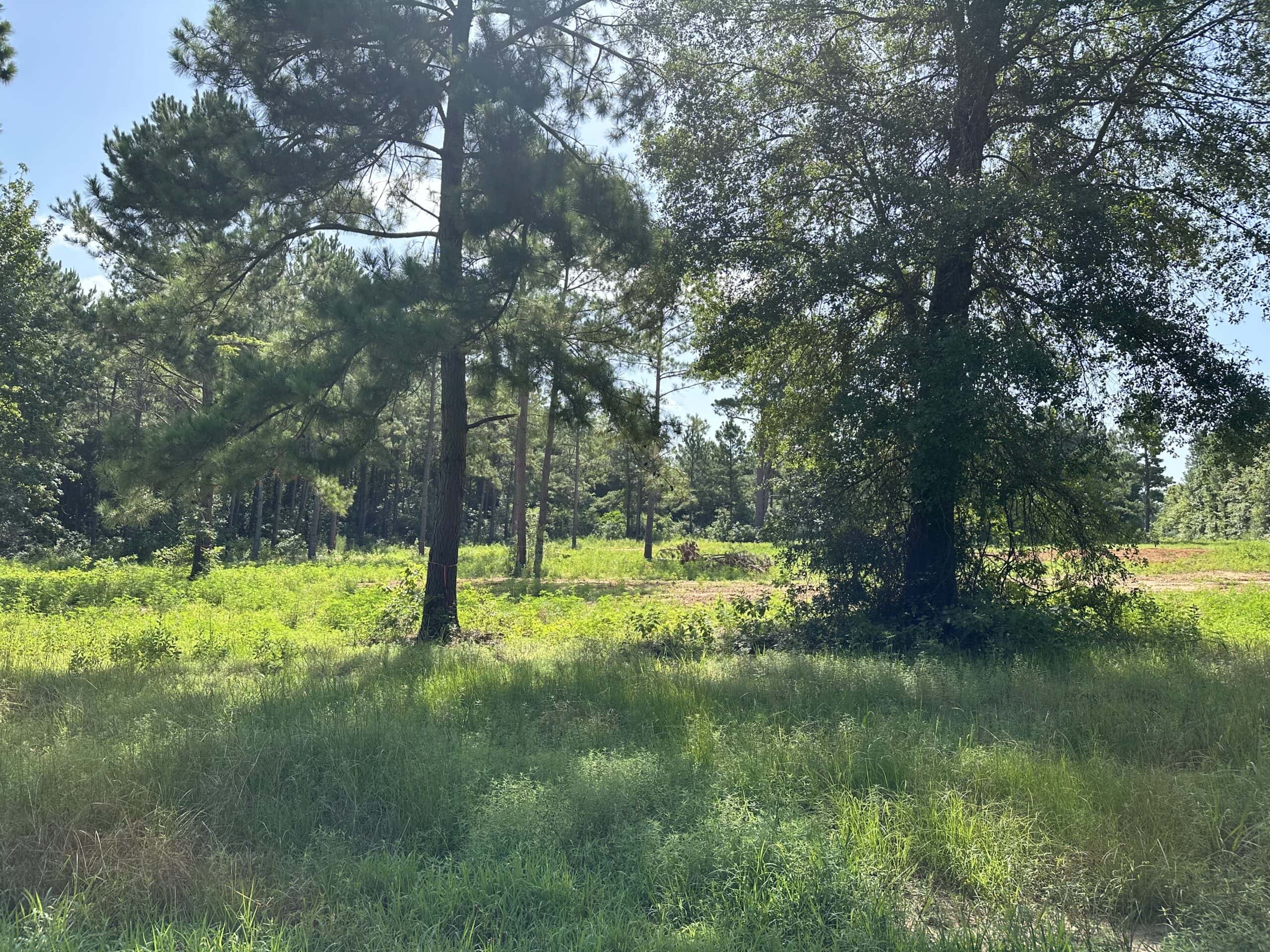 East Texas Hunting/Recreational Land For Sale