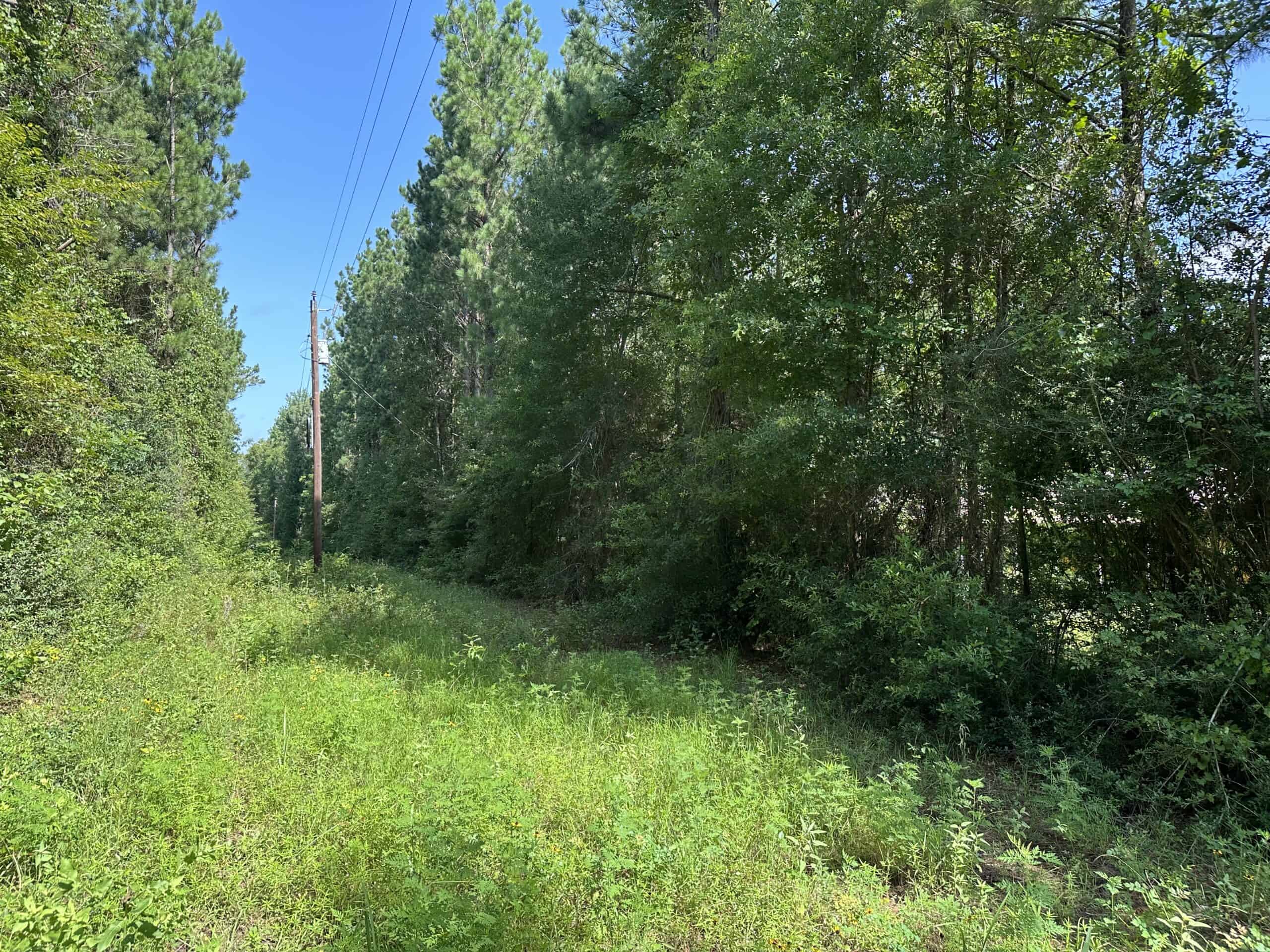 East Texas Hunting/Recreational Land For Sale