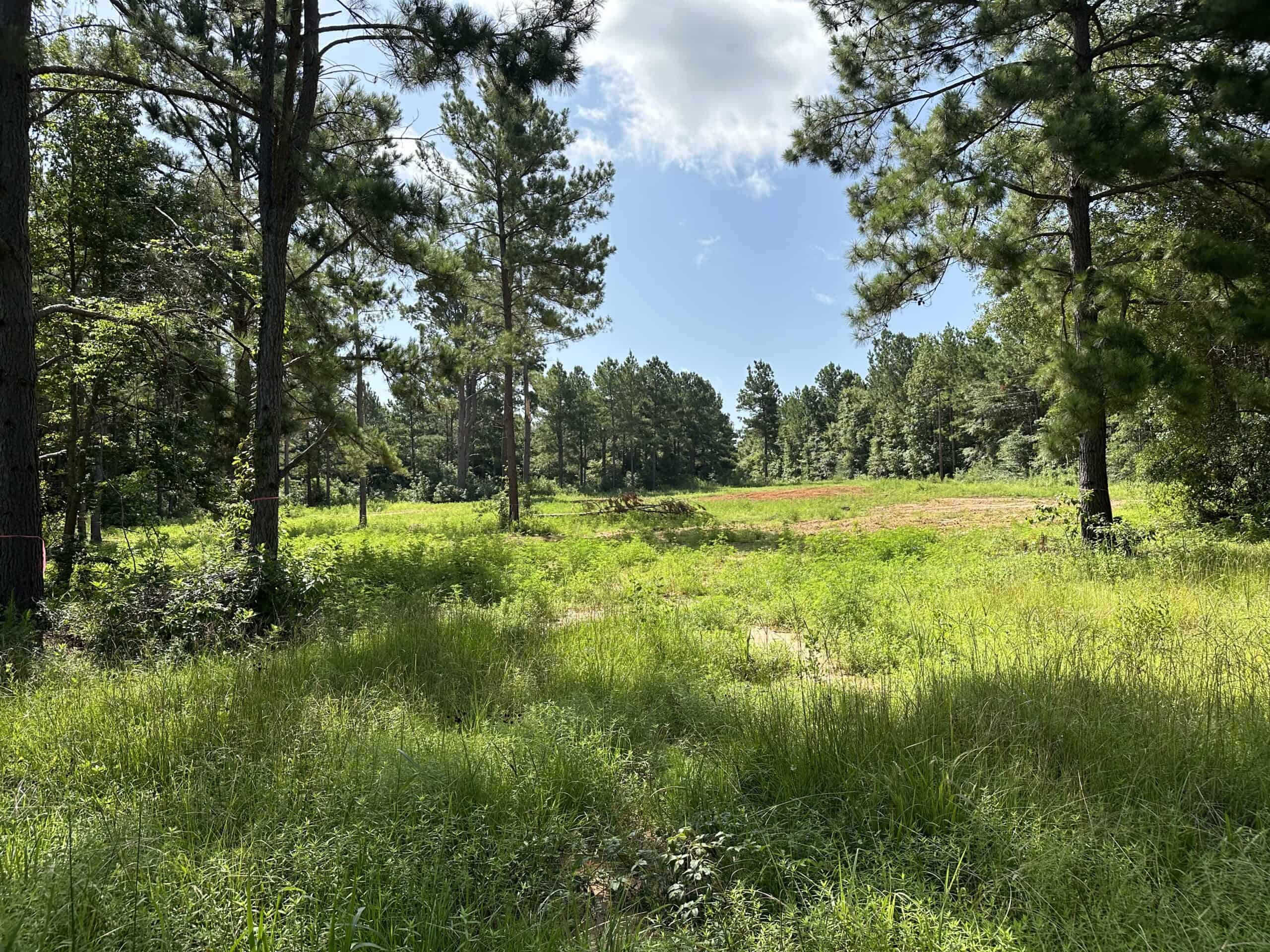 East Texas Hunting/Recreational Land For Sale
