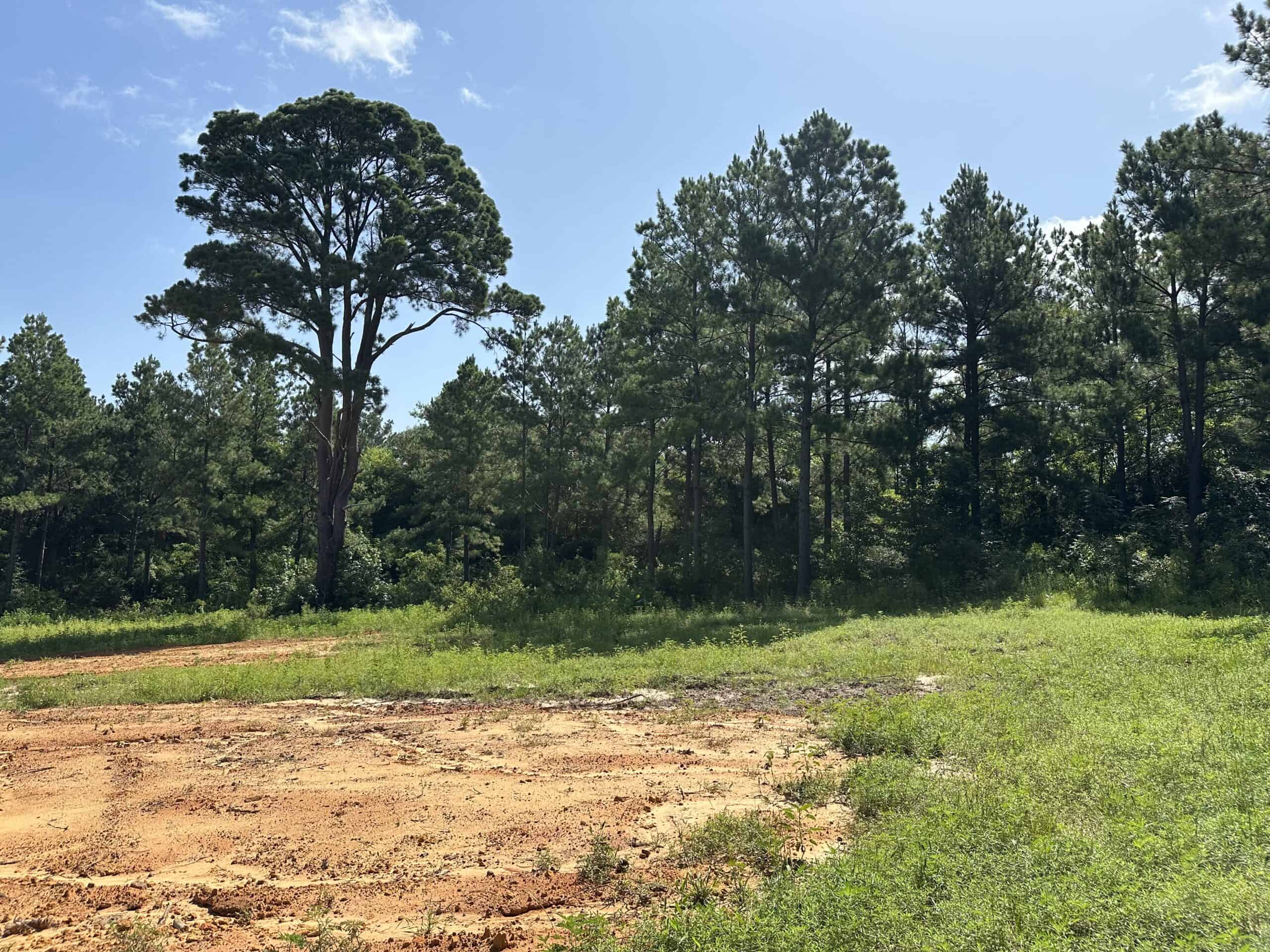 East Texas Hunting/Recreational Land For Sale