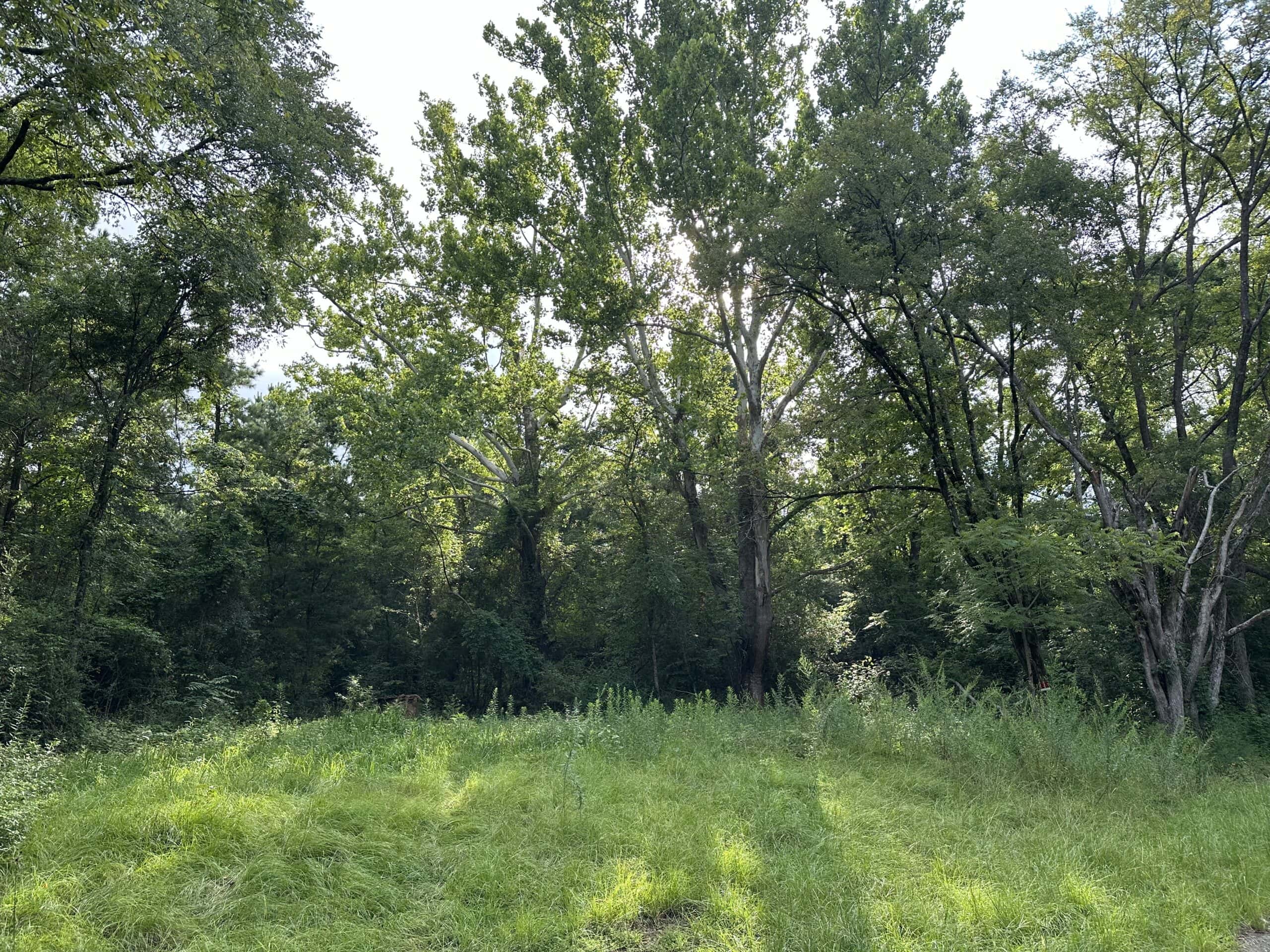 East Texas Hunting/Recreational Land For Sale