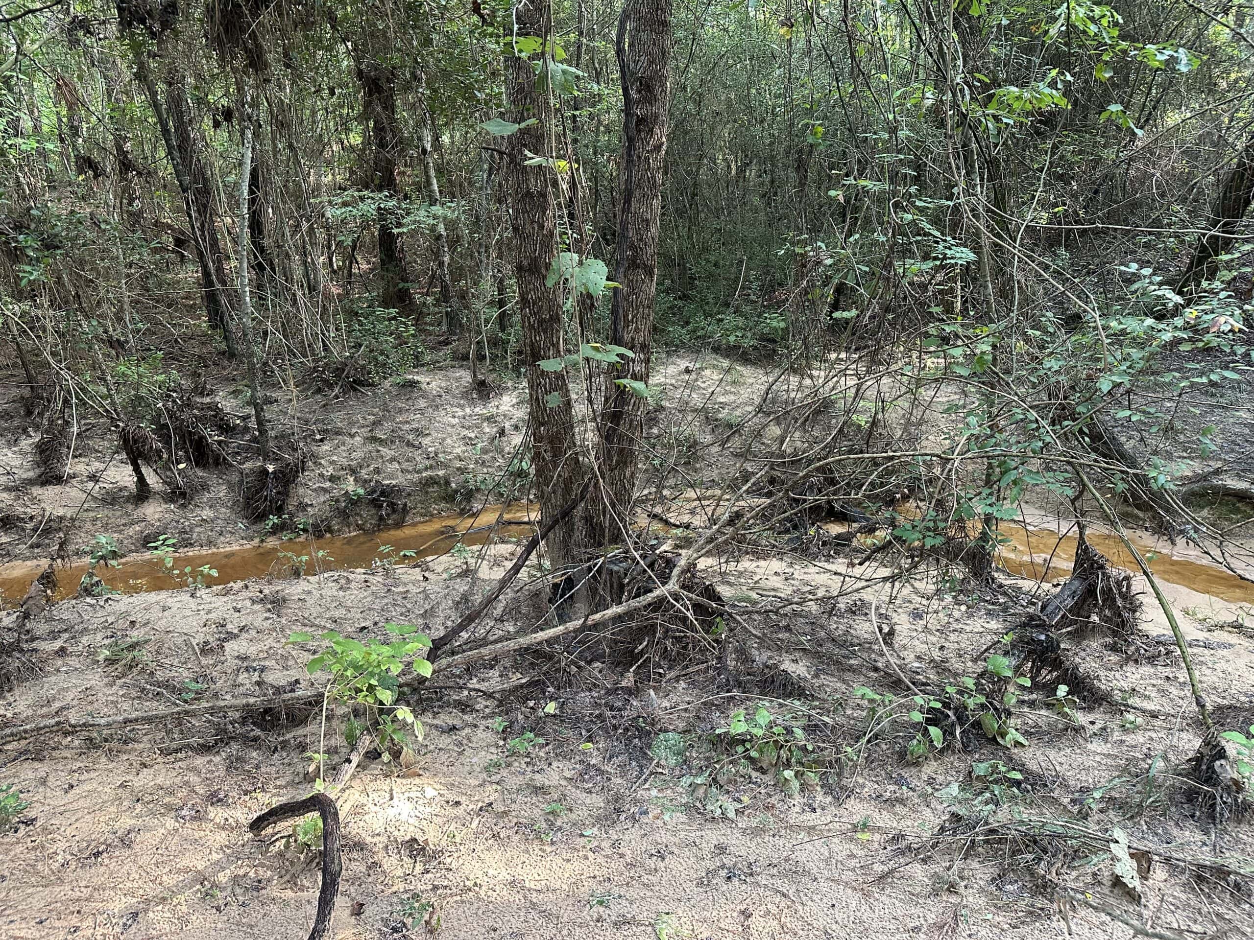 East Texas Hunting/Recreational Land For Sale