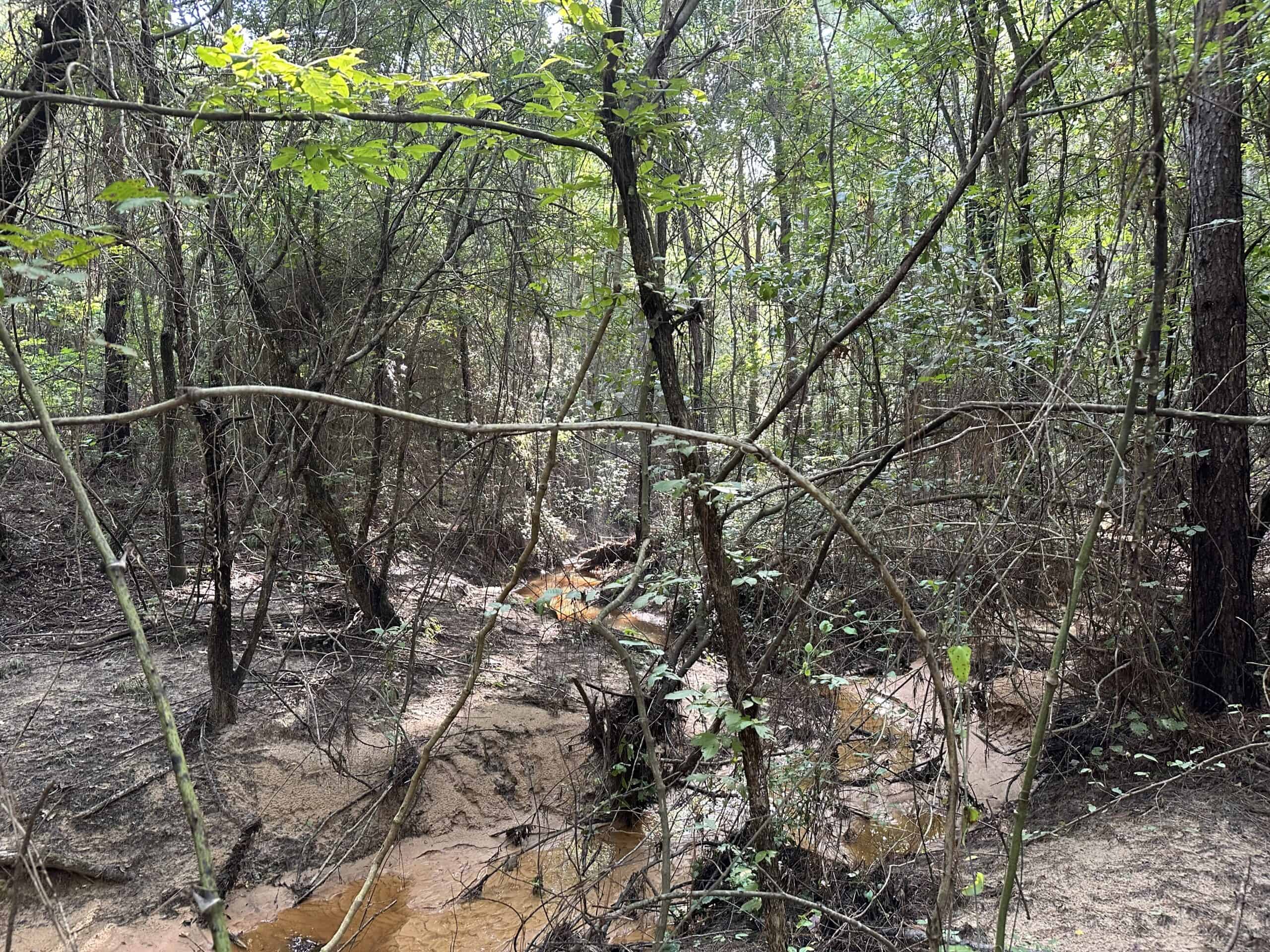 East Texas Hunting/Recreational Land For Sale