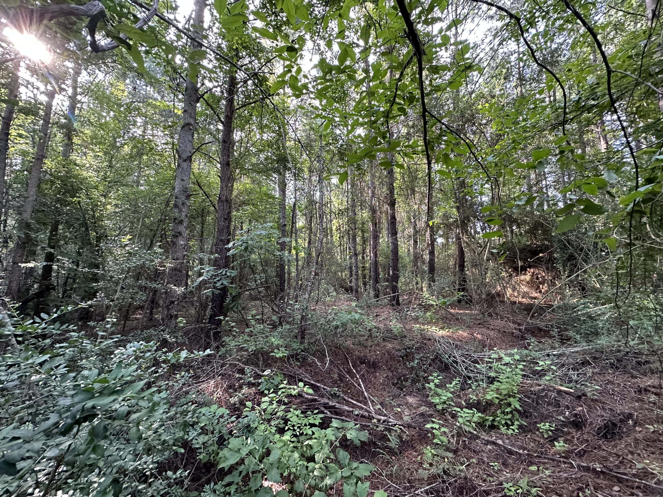East Texas Hunting/Recreational Land For Sale