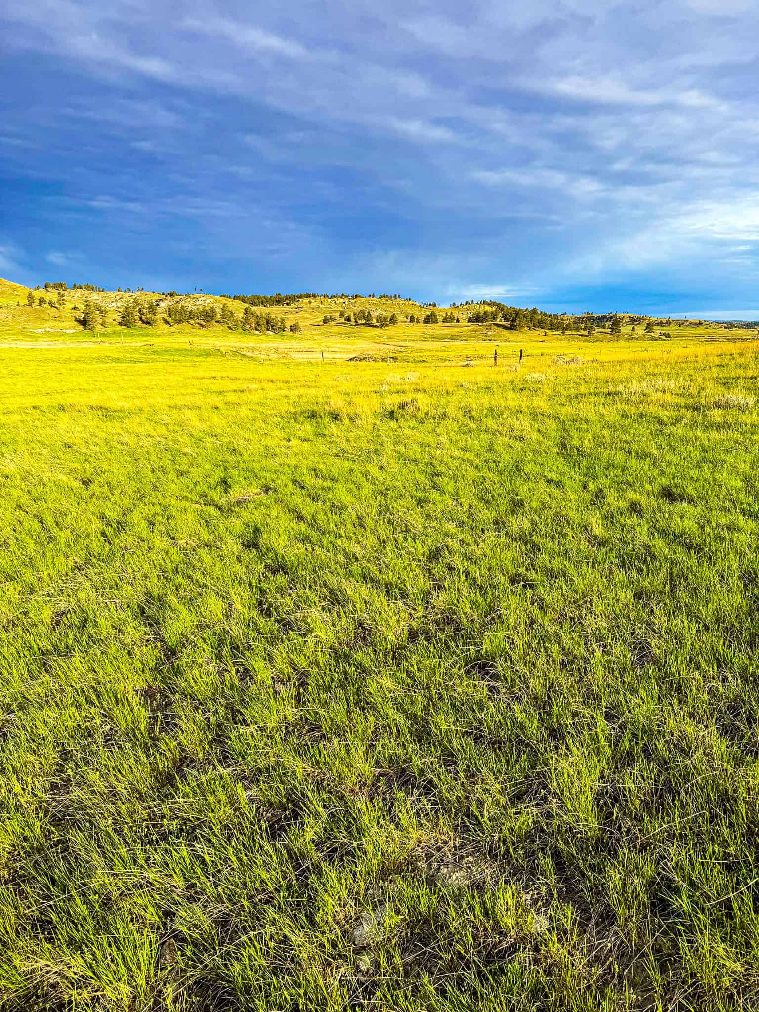 HILLMAN RANCH: A PREMIER ELK HUNTING AND LEGACY RANCH IN MT