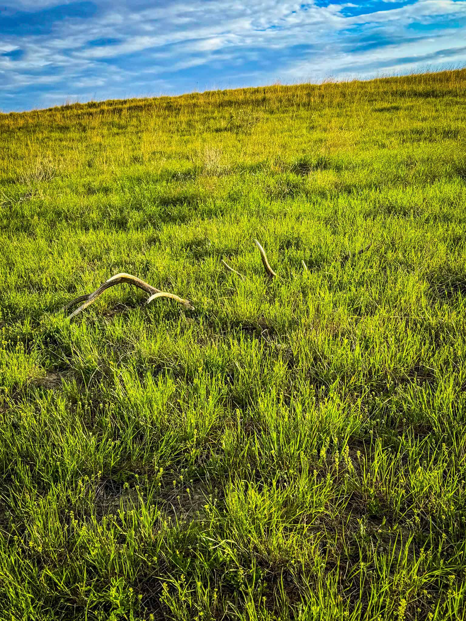 HILLMAN RANCH: A PREMIER ELK HUNTING AND LEGACY RANCH IN MT