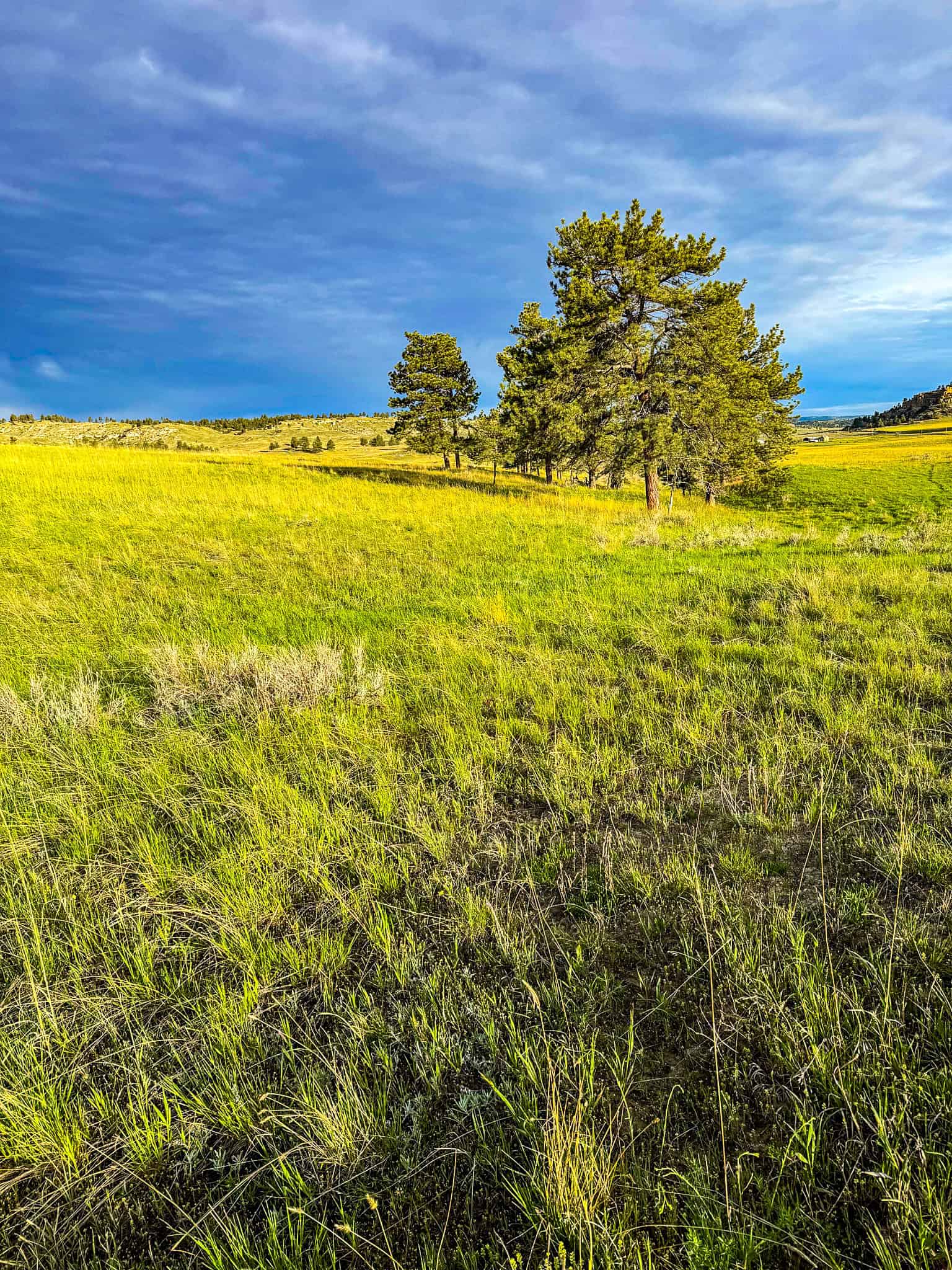 HILLMAN RANCH: A PREMIER ELK HUNTING AND LEGACY RANCH IN MT