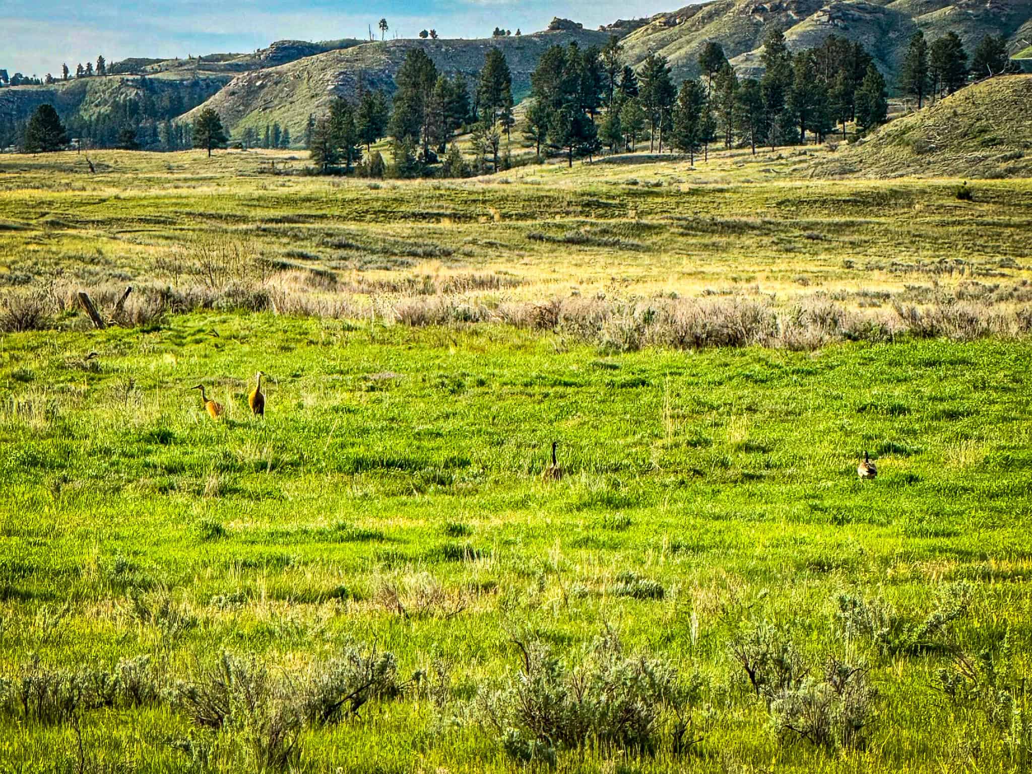HILLMAN RANCH: A PREMIER ELK HUNTING AND LEGACY RANCH IN MT