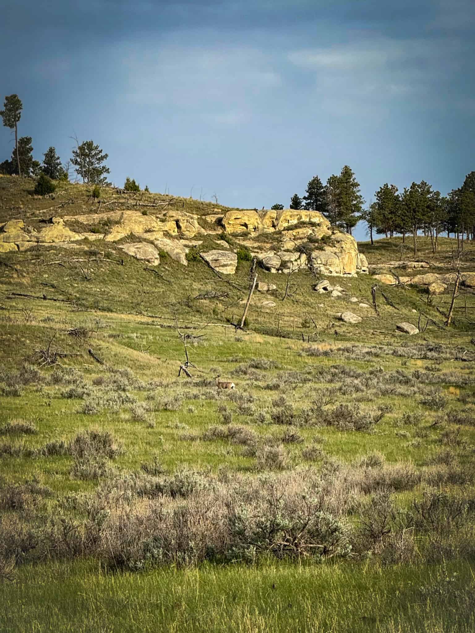 HILLMAN RANCH: A PREMIER ELK HUNTING AND LEGACY RANCH IN MT