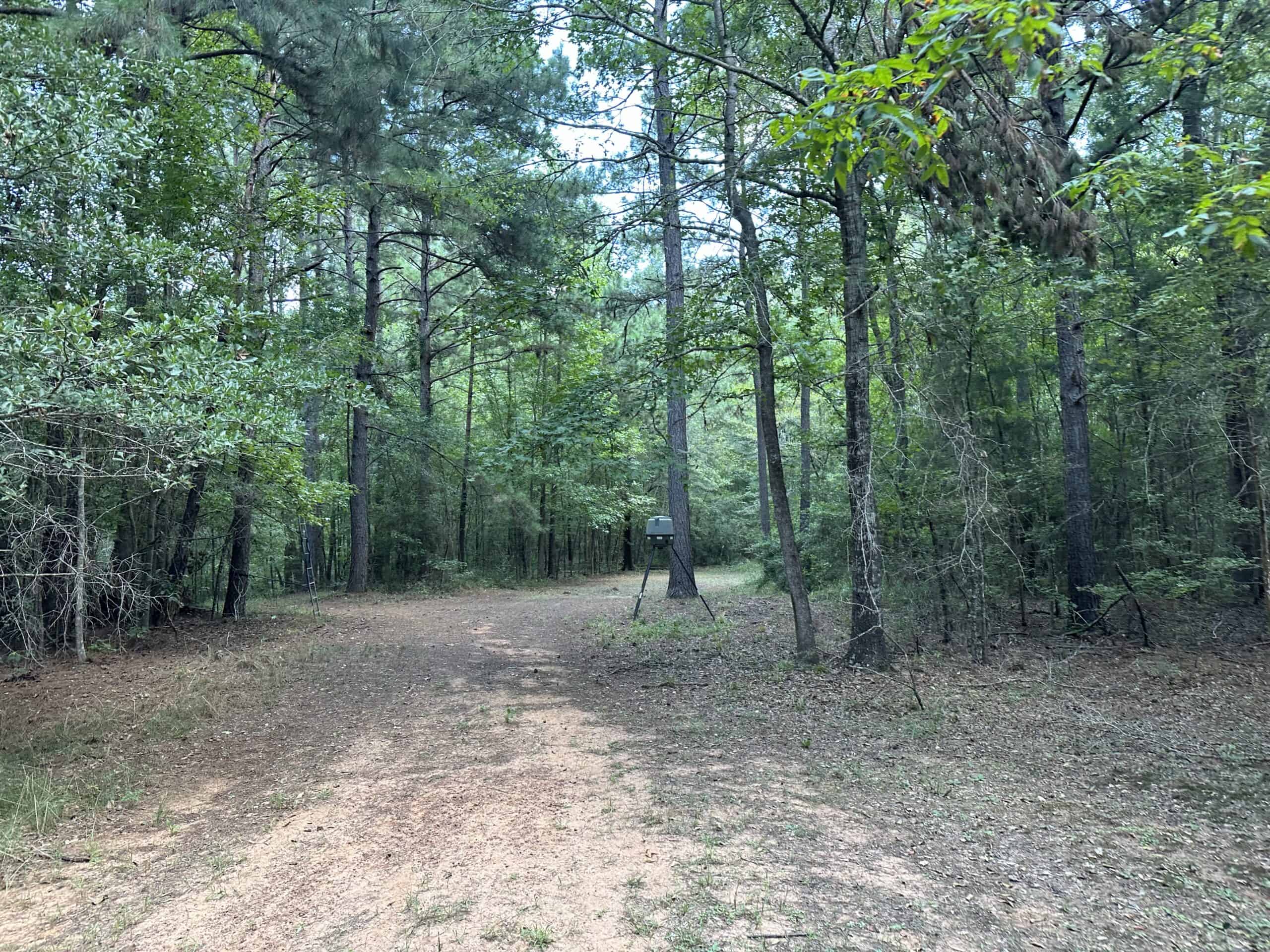 East Texas Hunting/Recreational Tract With Cabin