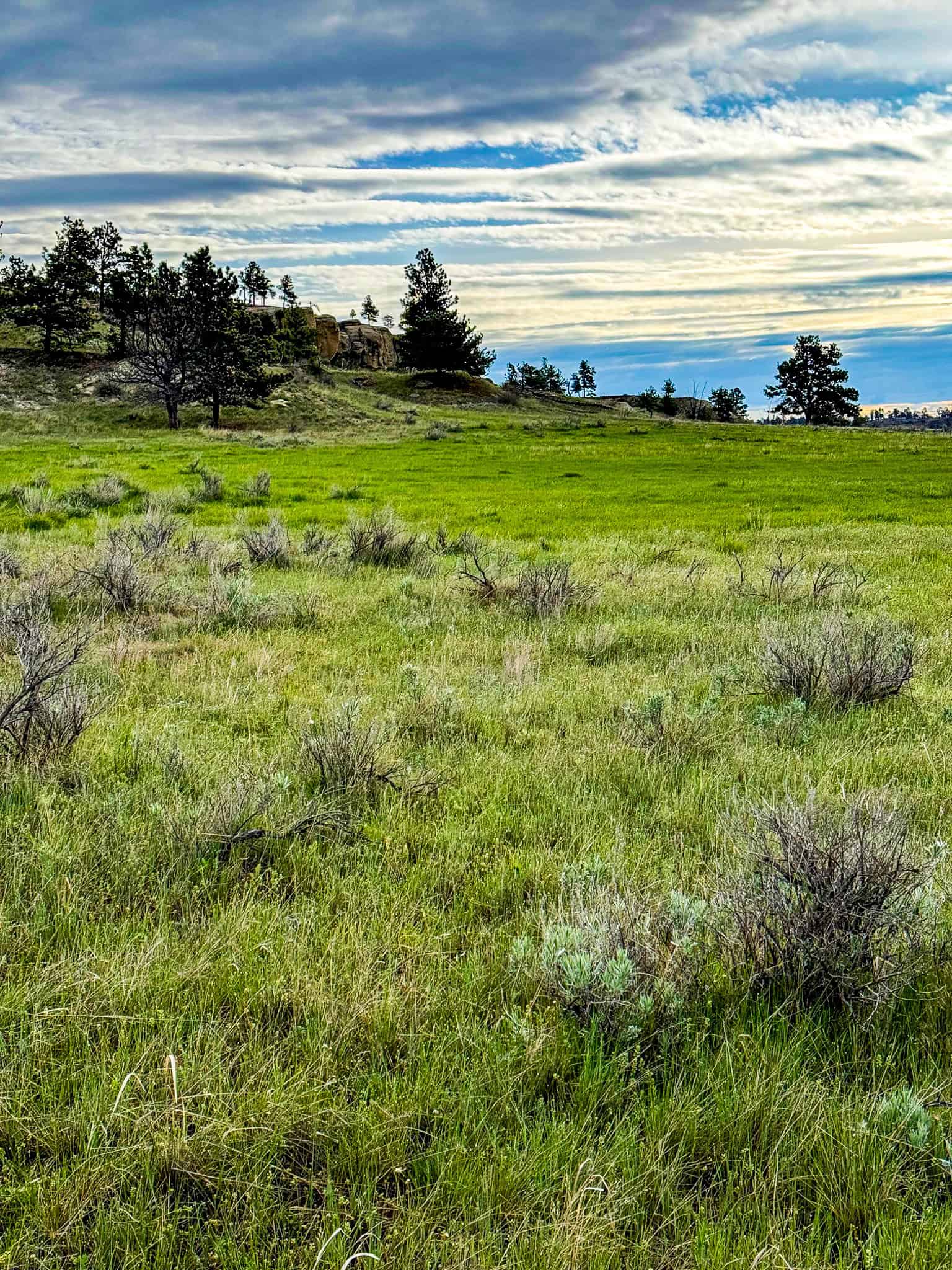 HILLMAN RANCH: A PREMIER ELK HUNTING AND LEGACY RANCH IN MT