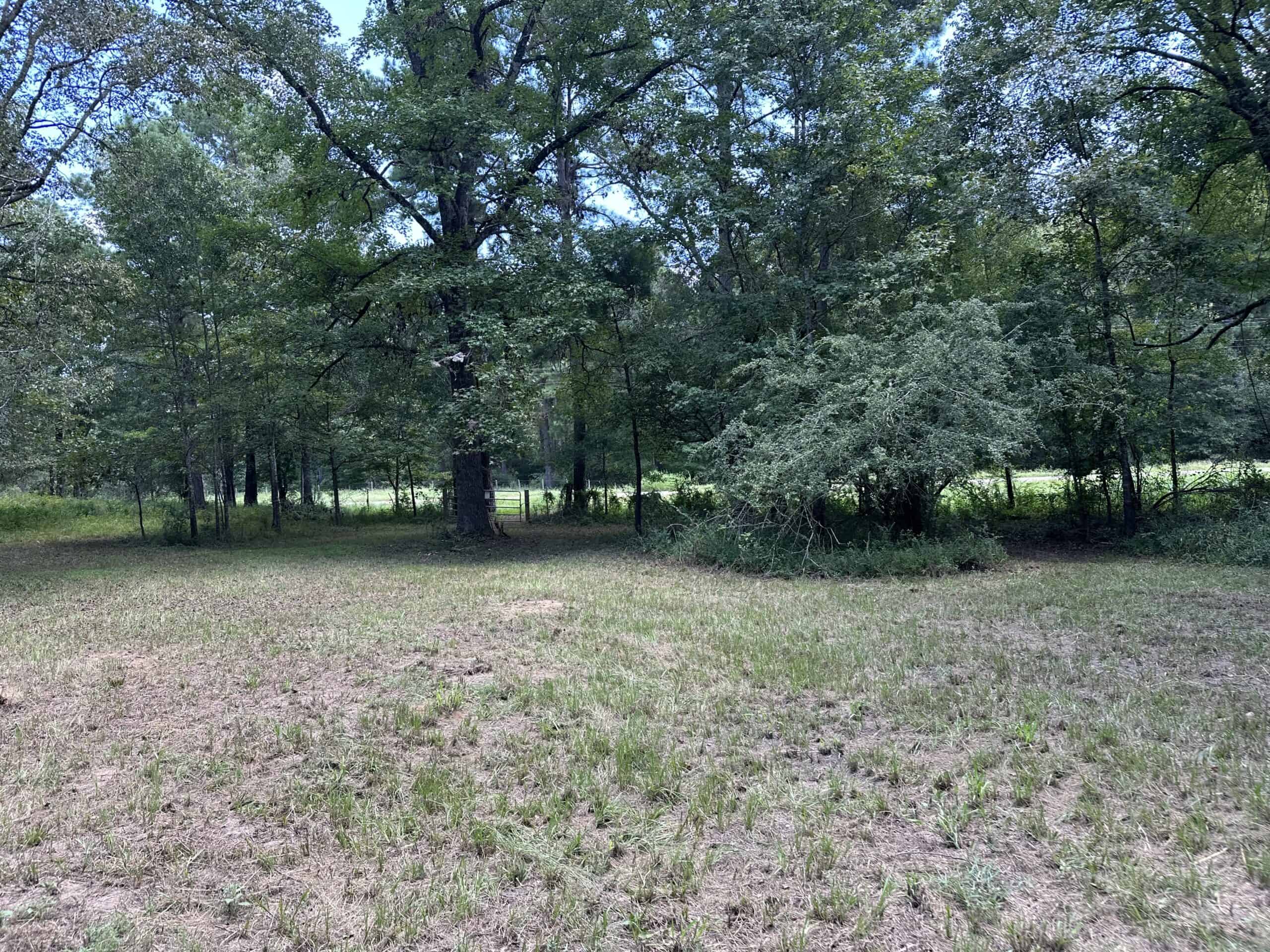 East Texas Hunting/Recreational Tract With Cabin