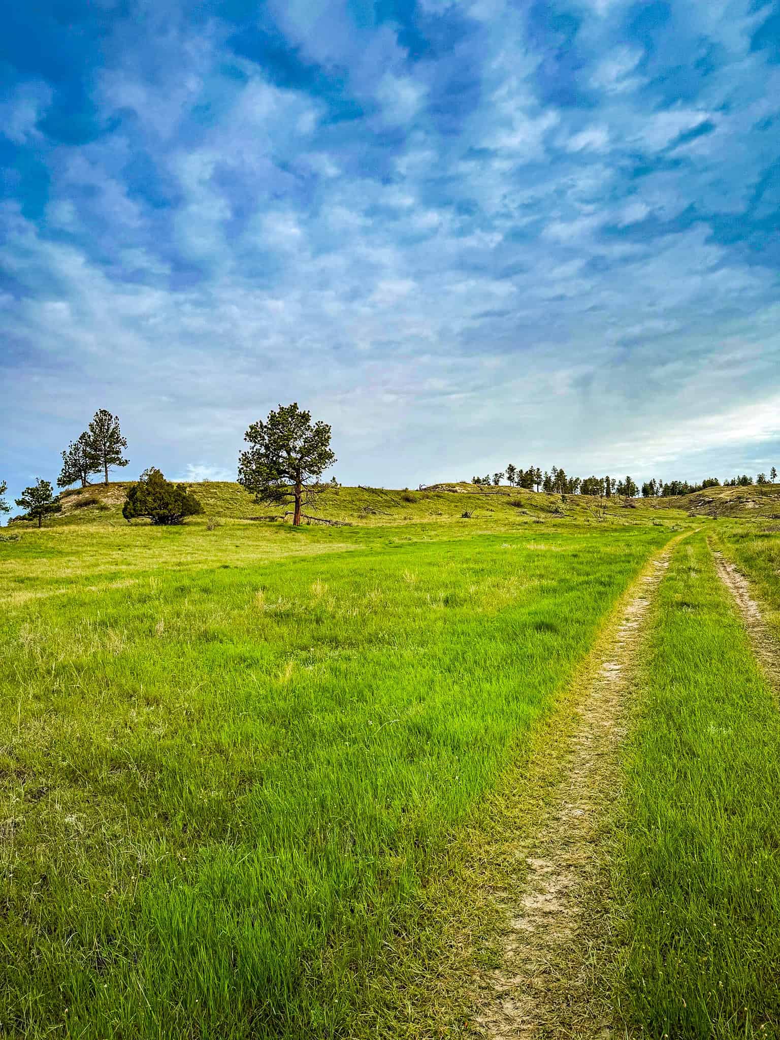HILLMAN RANCH: A PREMIER ELK HUNTING AND LEGACY RANCH IN MT