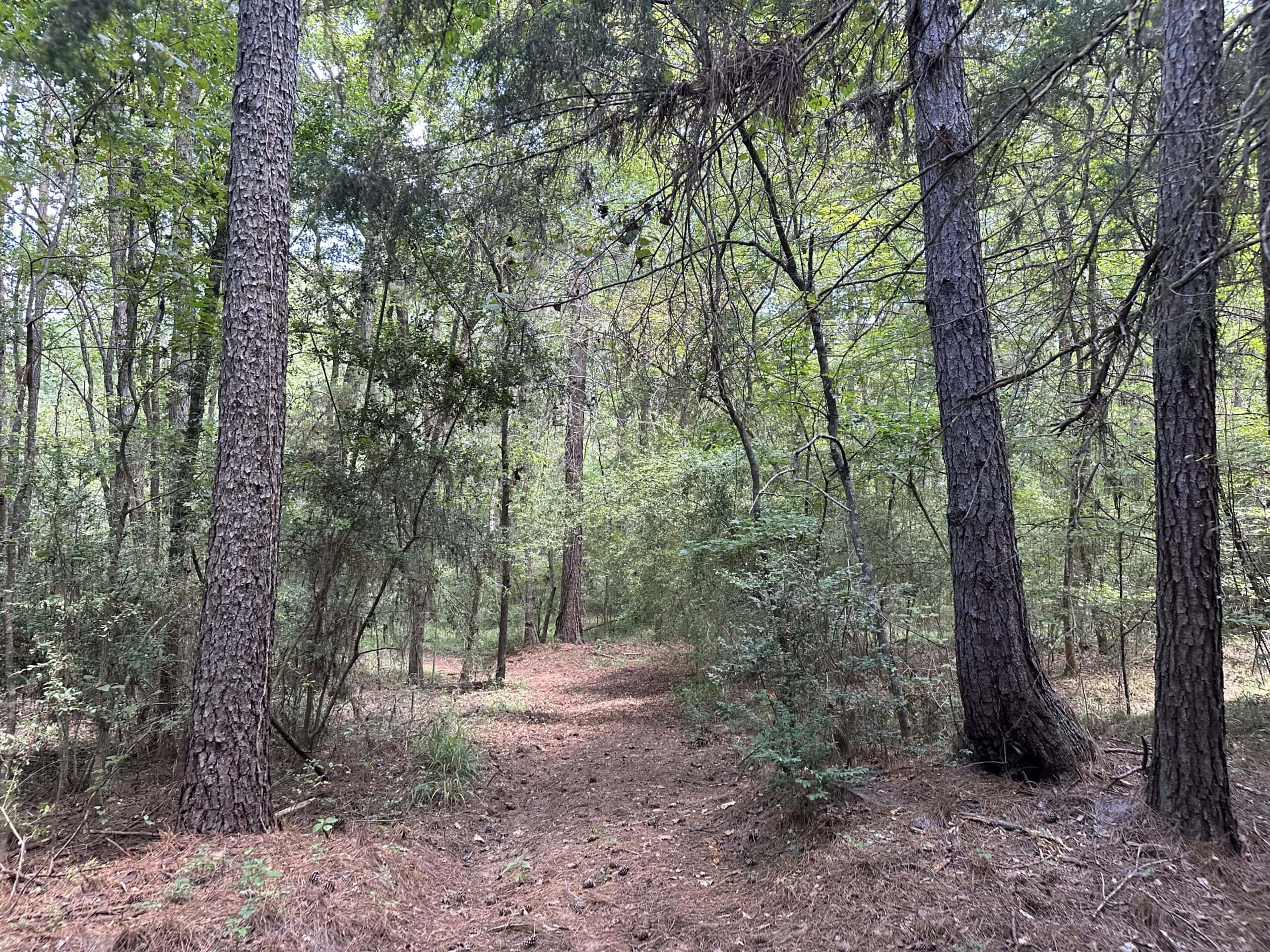 East Texas Hunting/Recreational Tract With Cabin