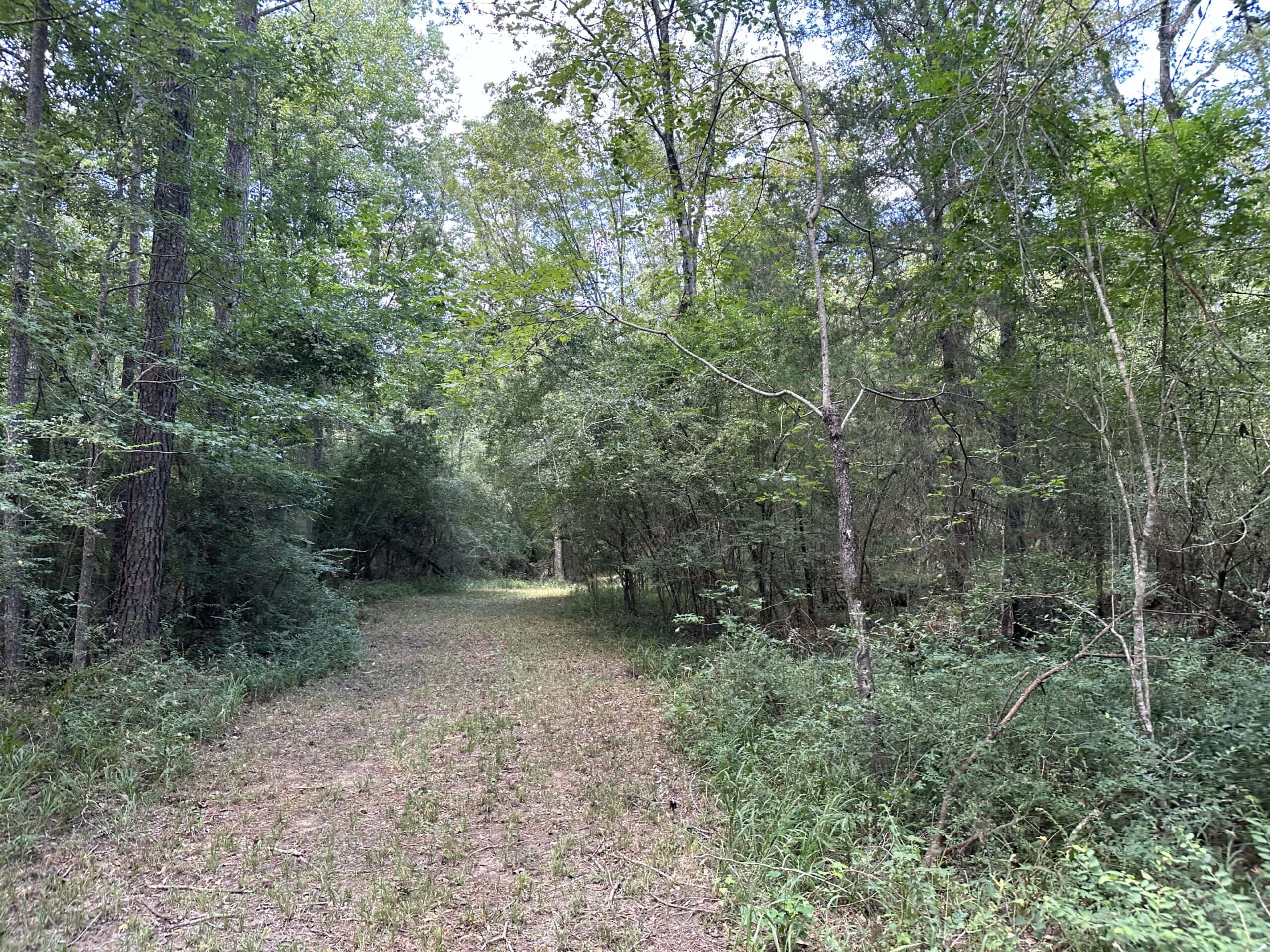 East Texas Hunting/Recreational Tract With Cabin