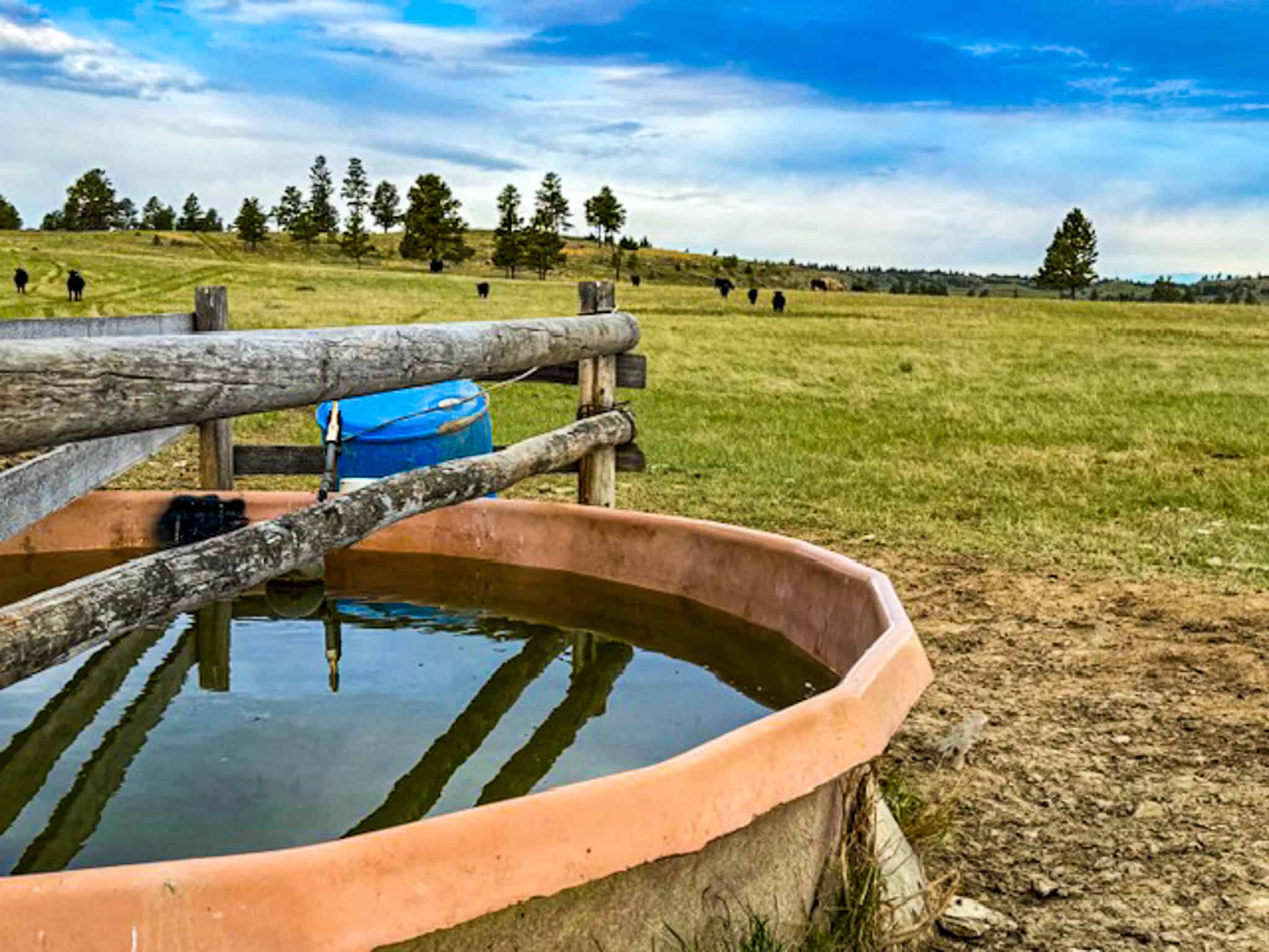HILLMAN RANCH: A PREMIER ELK HUNTING AND LEGACY RANCH IN MT