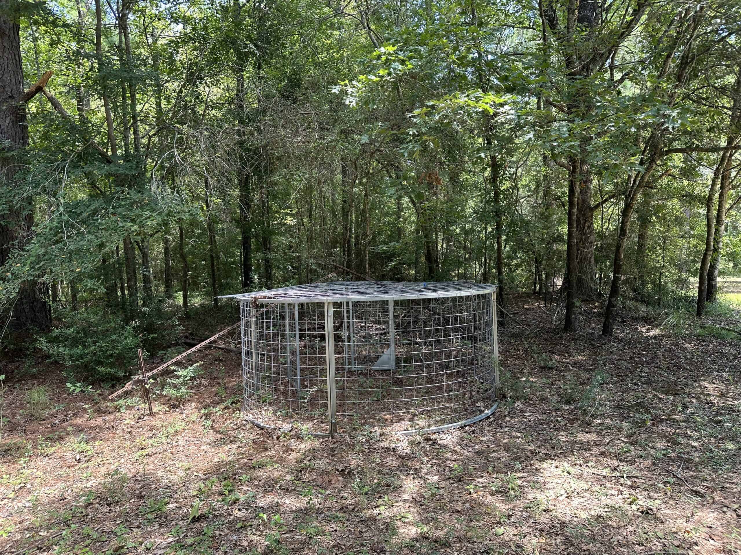 East Texas Hunting/Recreational Tract With Cabin