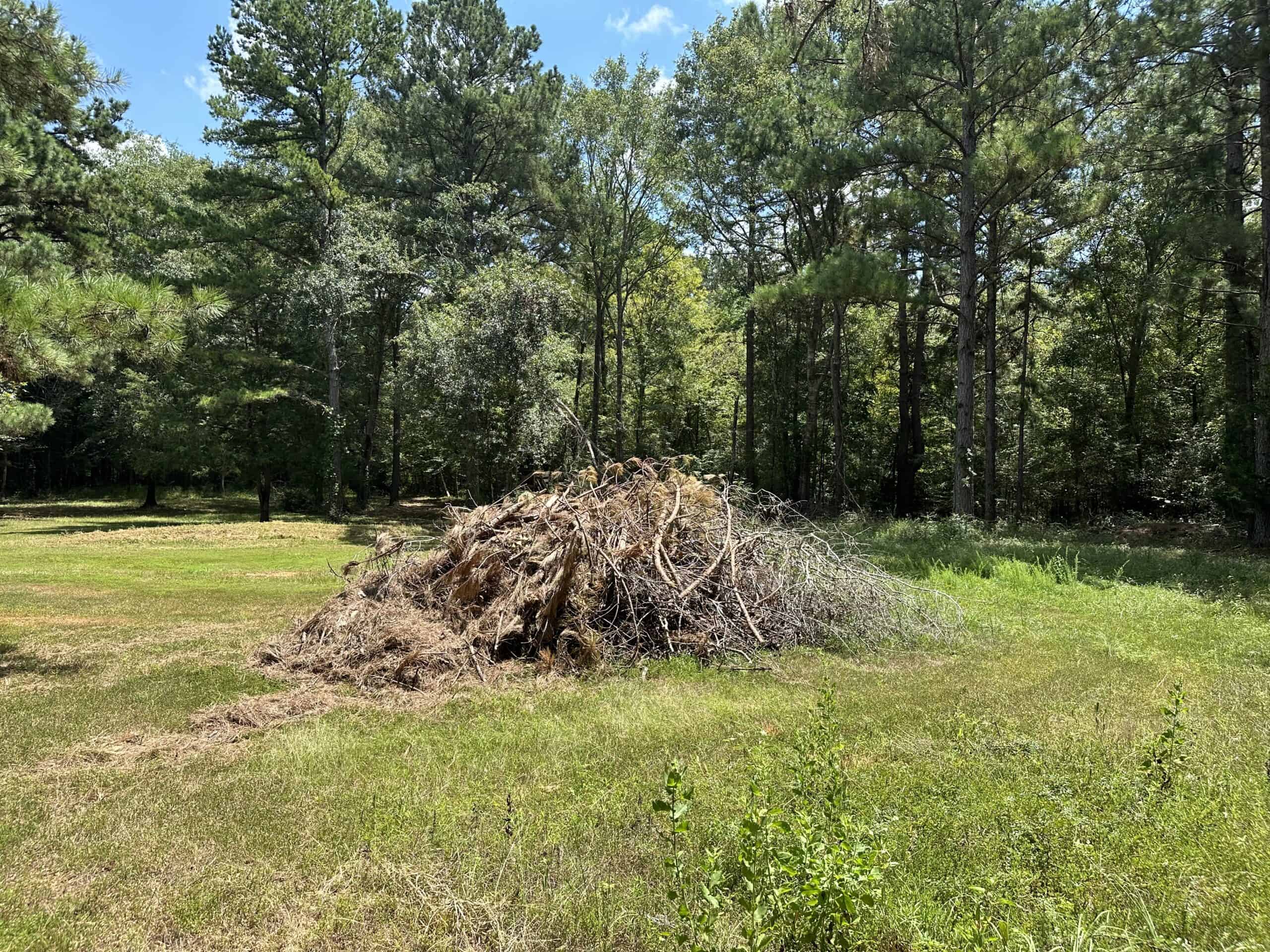 East Texas Hunting/Recreational Tract With Cabin