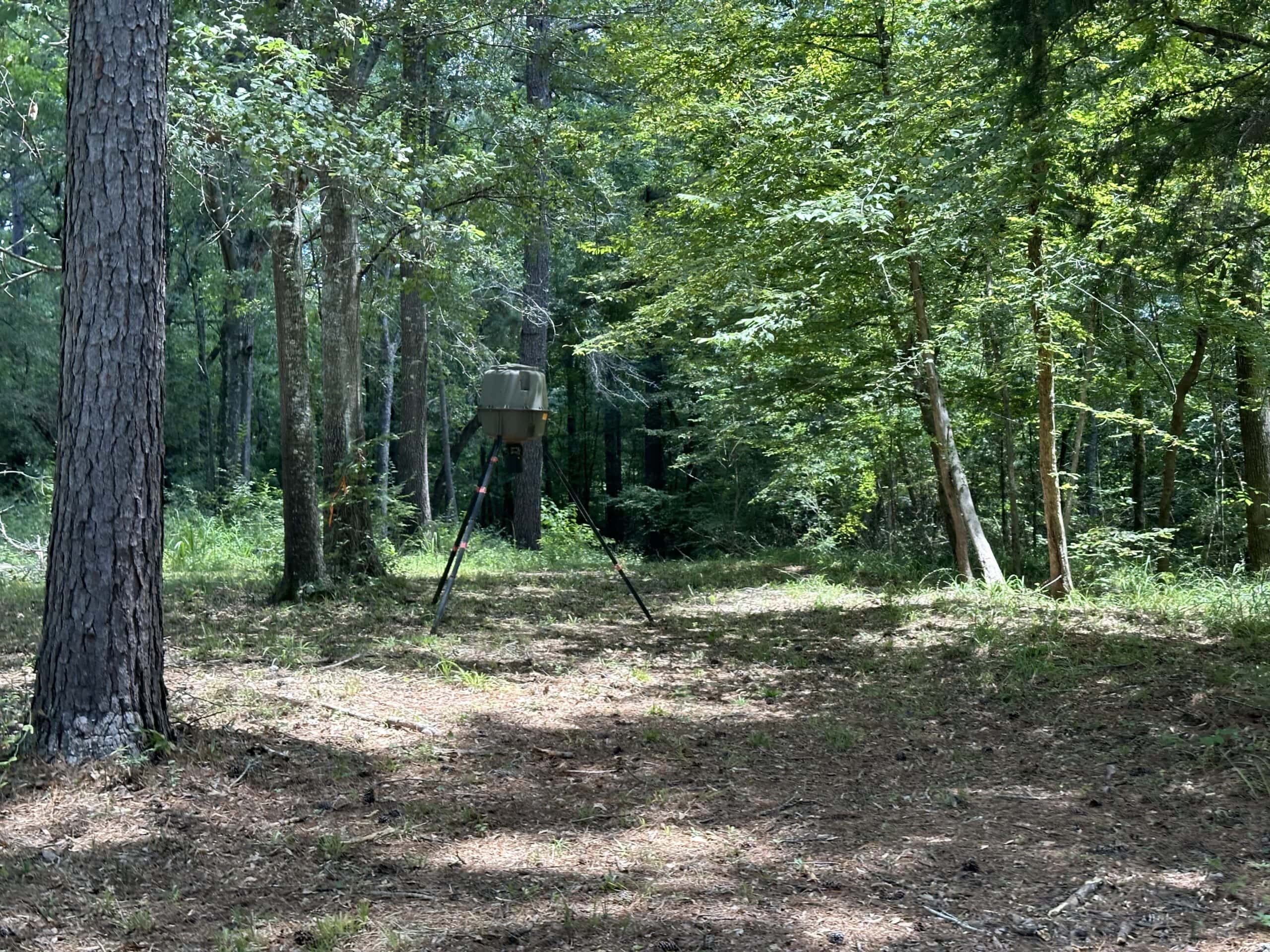 East Texas Hunting/Recreational Tract With Cabin