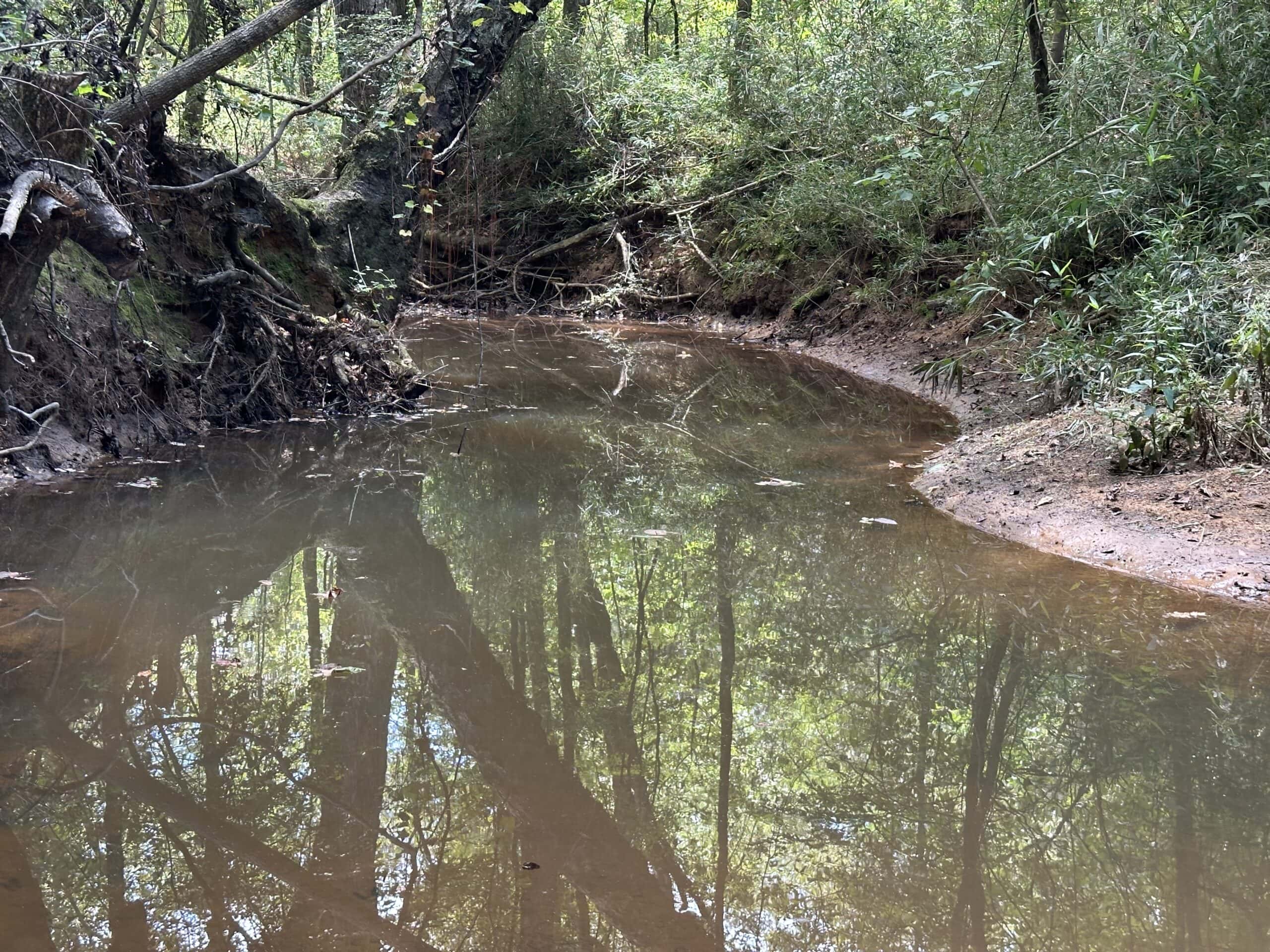 East Texas Hunting/Recreational Tract With Cabin