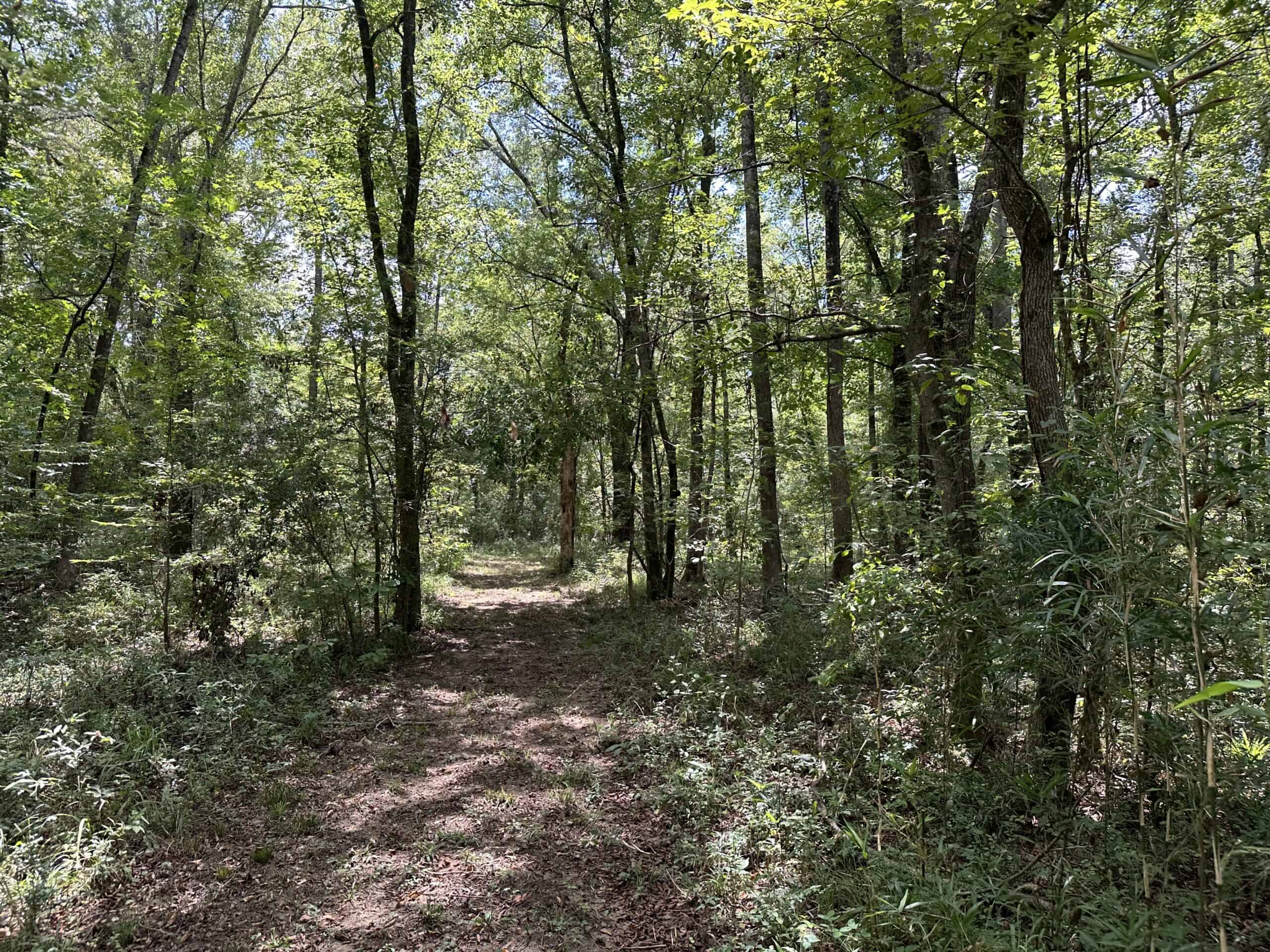 East Texas Hunting/Recreational Tract With Cabin