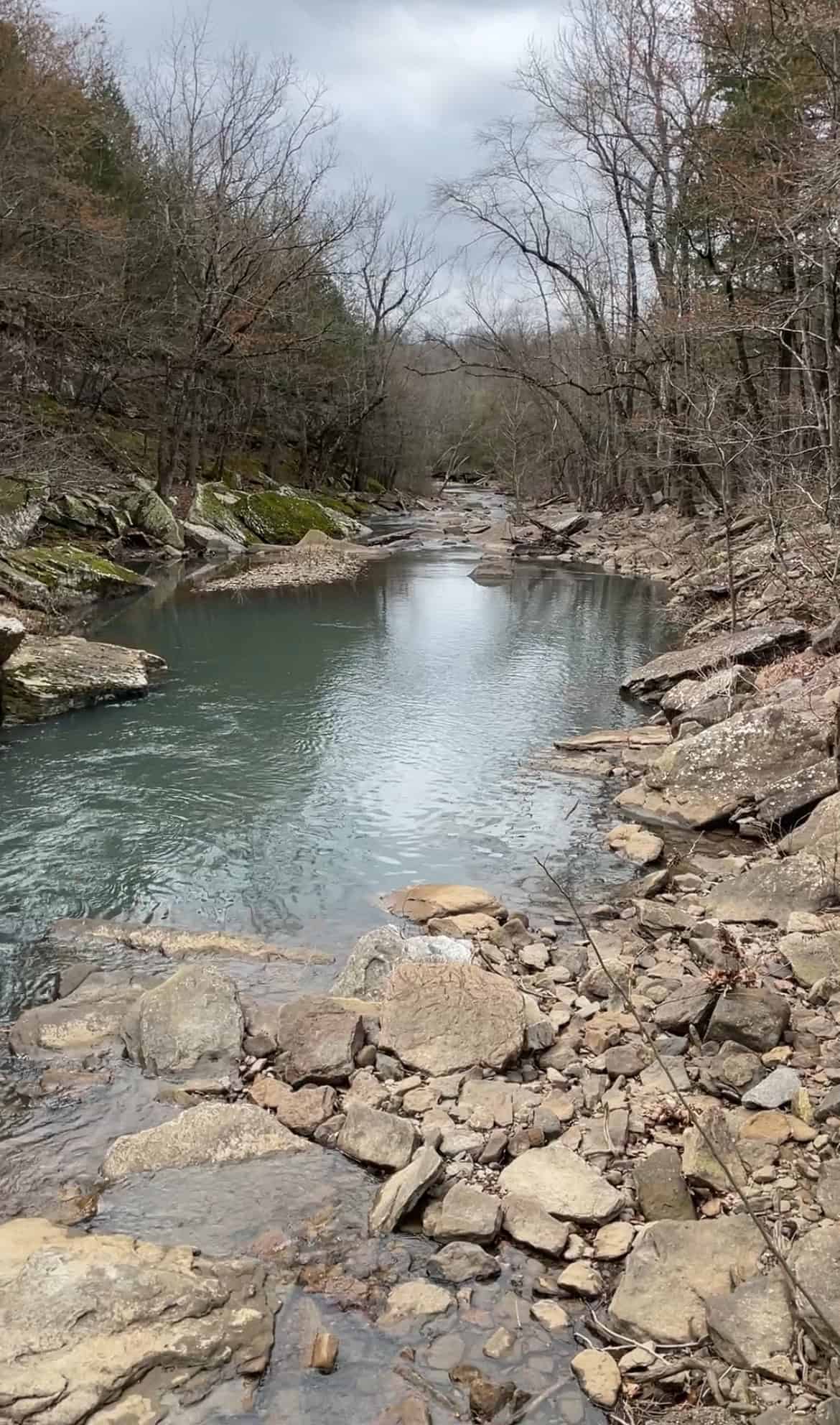 95 Acres of Hunting Land with Log Home For Sale in Arkansas