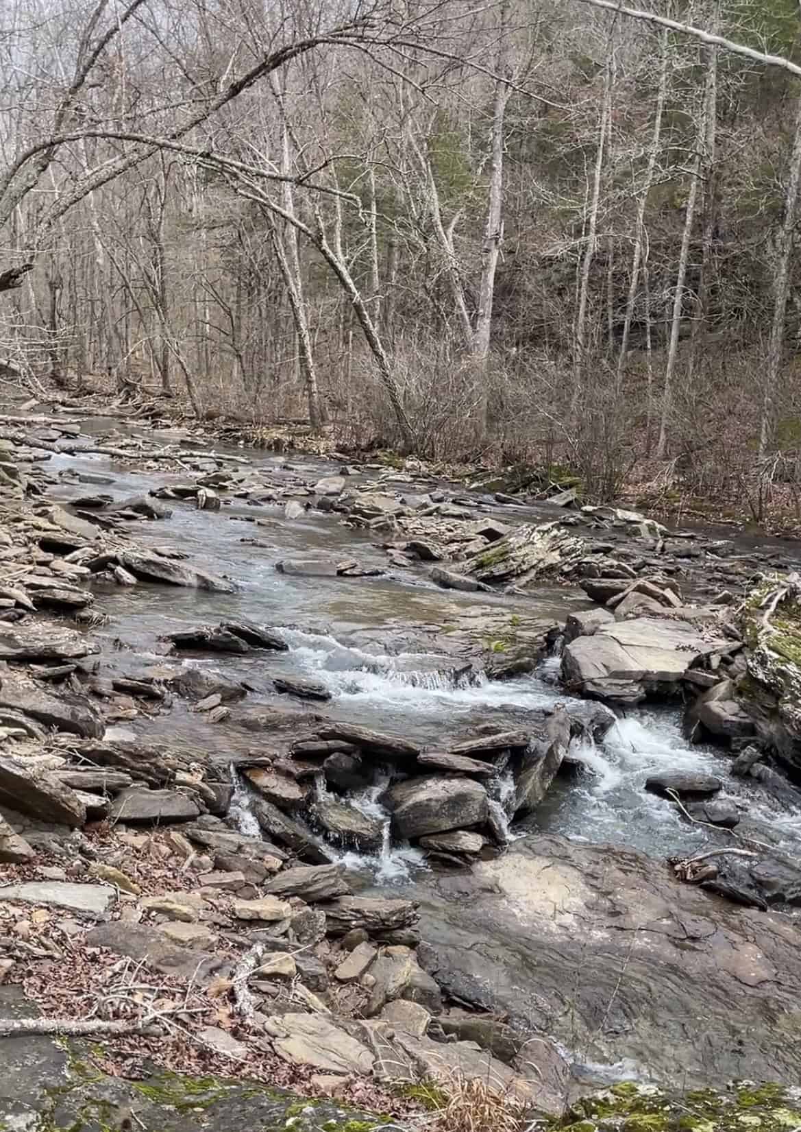 95 Acres of Hunting Land with Log Home For Sale in Arkansas