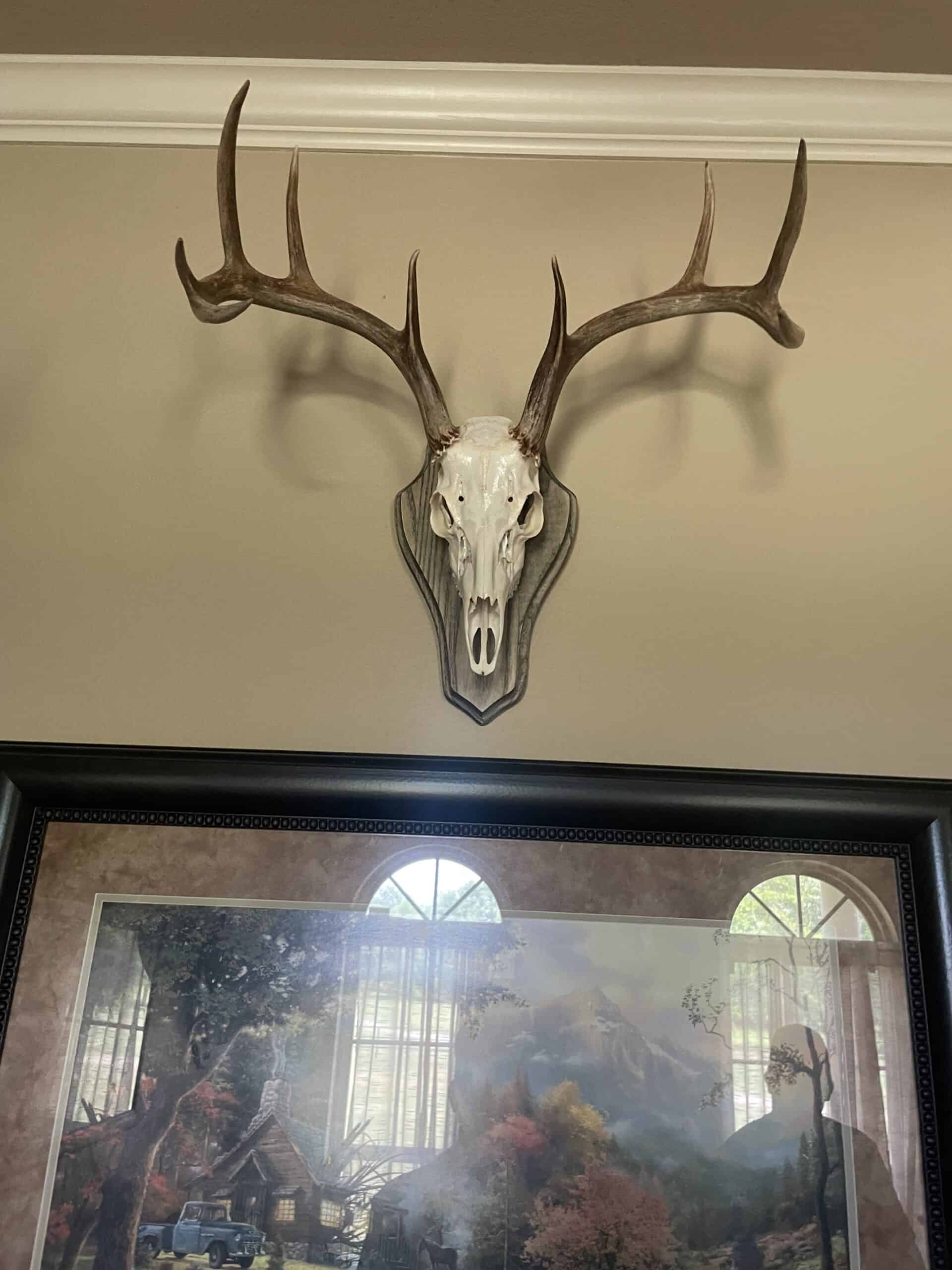 McCurtain County Oklahoma Hunting Property