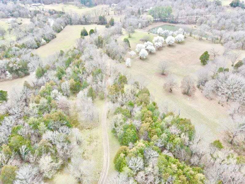95 Acres of Hunting Land with Log Home For Sale in Arkansas