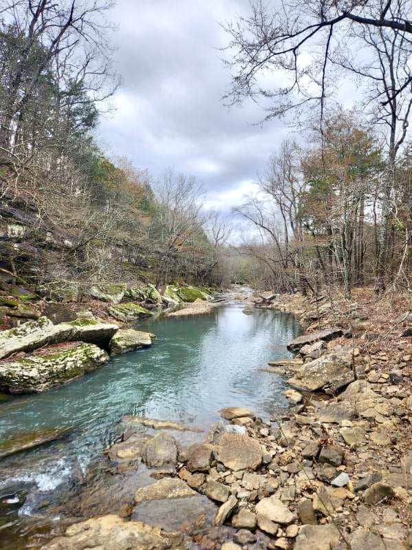 95 Acres of Hunting Land with Log Home For Sale in Arkansas