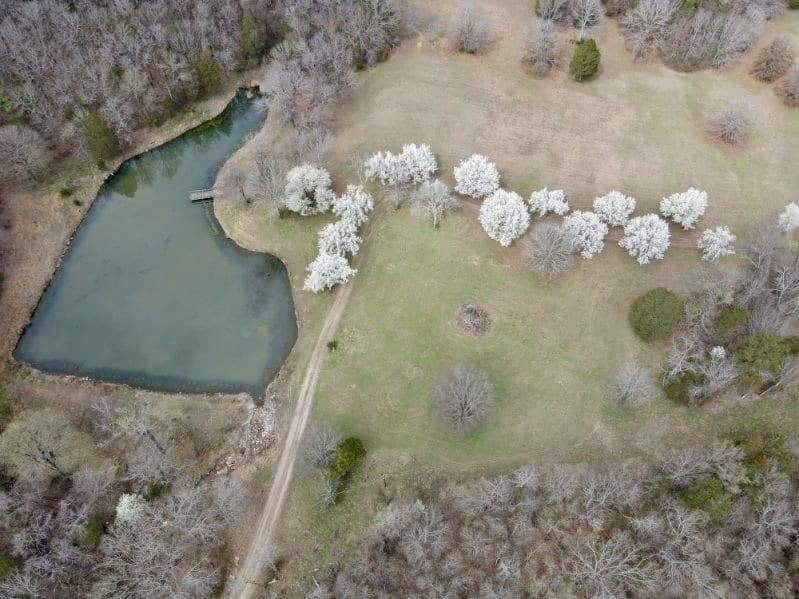 95 Acres of Hunting Land with Log Home For Sale in Arkansas