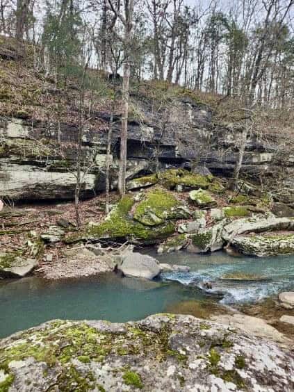 95 Acres of Hunting Land with Log Home For Sale in Arkansas